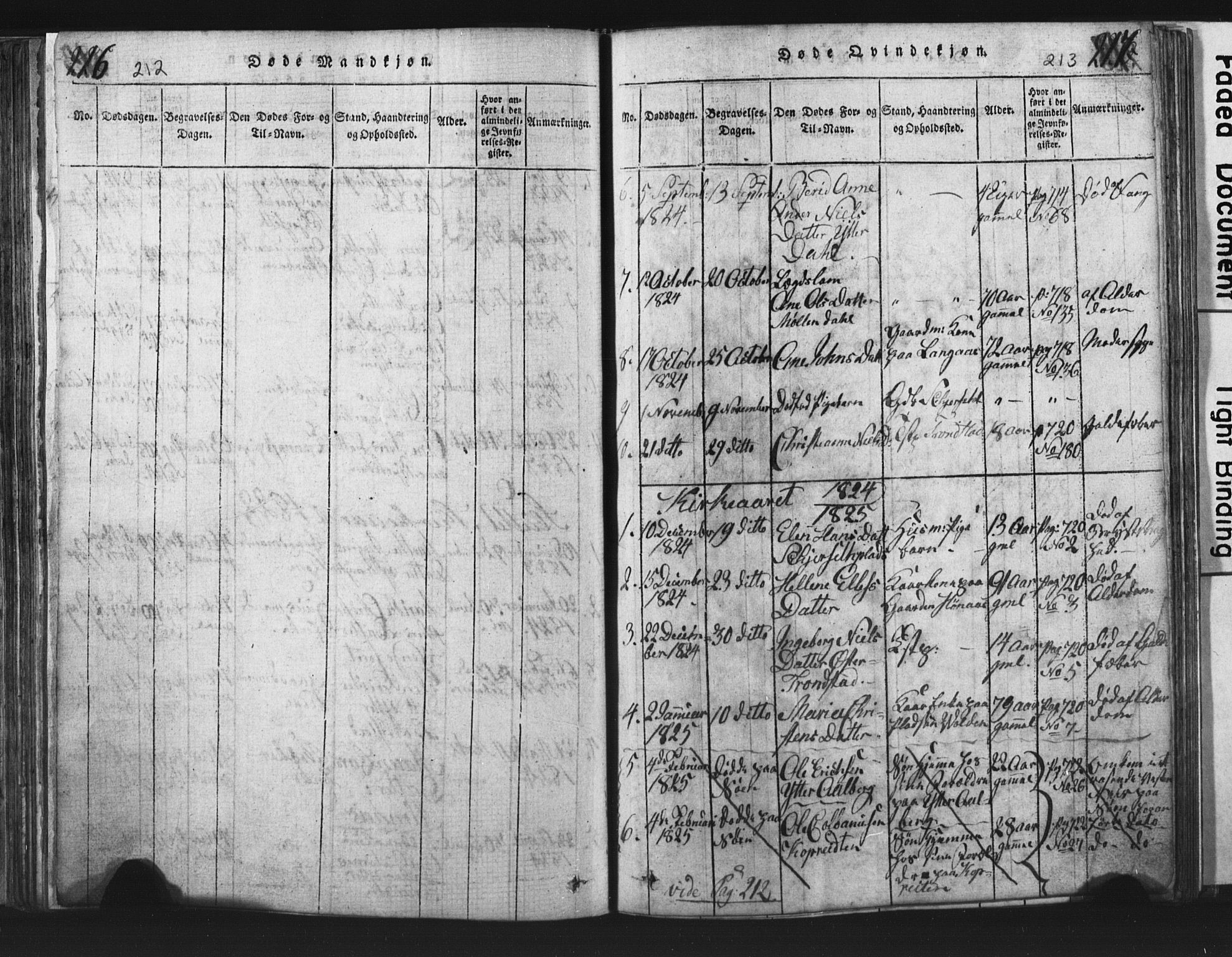 Ministerialprotokoller, klokkerbøker og fødselsregistre - Nord-Trøndelag, SAT/A-1458/701/L0017: Parish register (copy) no. 701C01, 1817-1825, p. 212-213