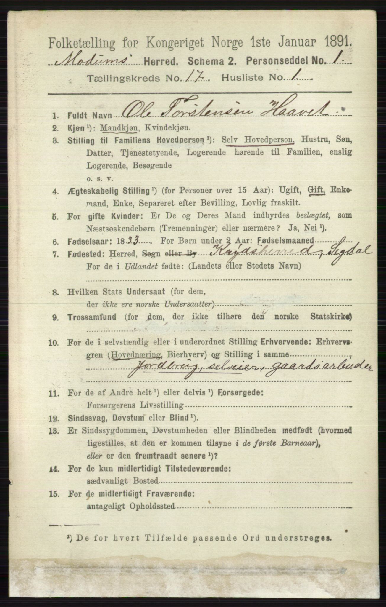 RA, 1891 census for 0623 Modum, 1891, p. 6633