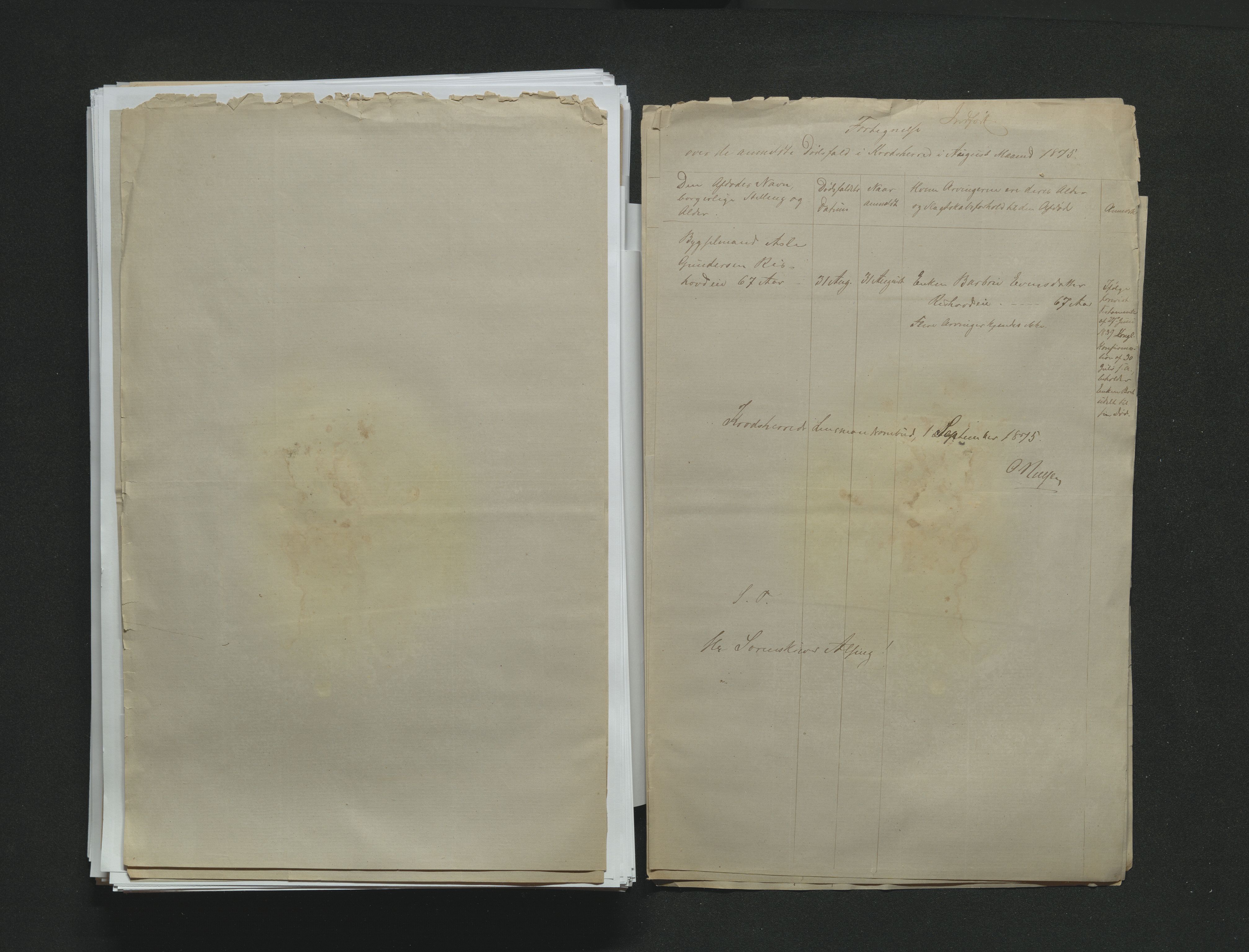 Eiker, Modum og Sigdal sorenskriveri, AV/SAKO-A-123/H/Ha/Hab/L0014: Dødsfallsmeldinger, 1874-1877, p. 344