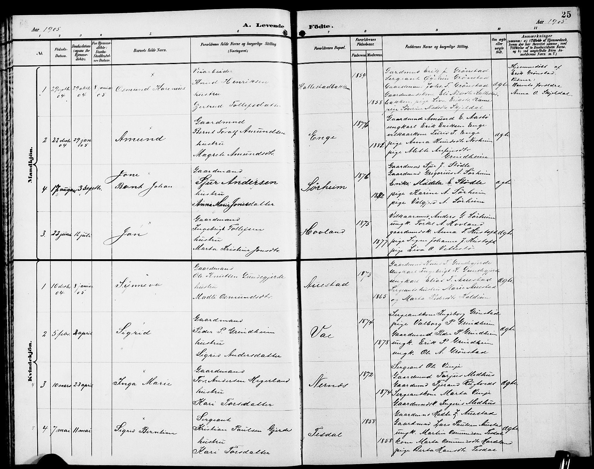 Etne sokneprestembete, SAB/A-75001/H/Hab: Parish register (copy) no. A 6, 1897-1924, p. 25