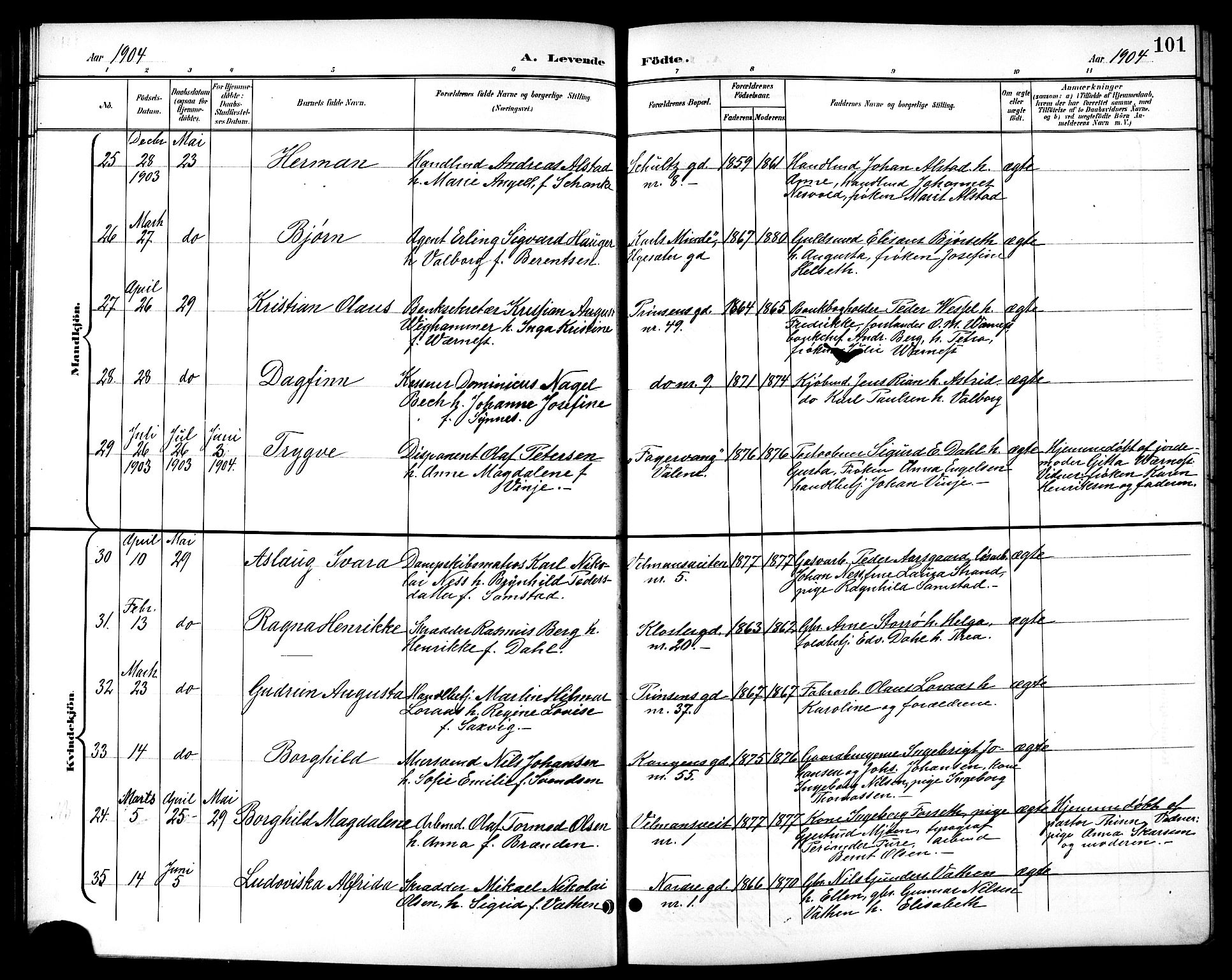 Ministerialprotokoller, klokkerbøker og fødselsregistre - Sør-Trøndelag, AV/SAT-A-1456/601/L0094: Parish register (copy) no. 601C12, 1898-1911, p. 101