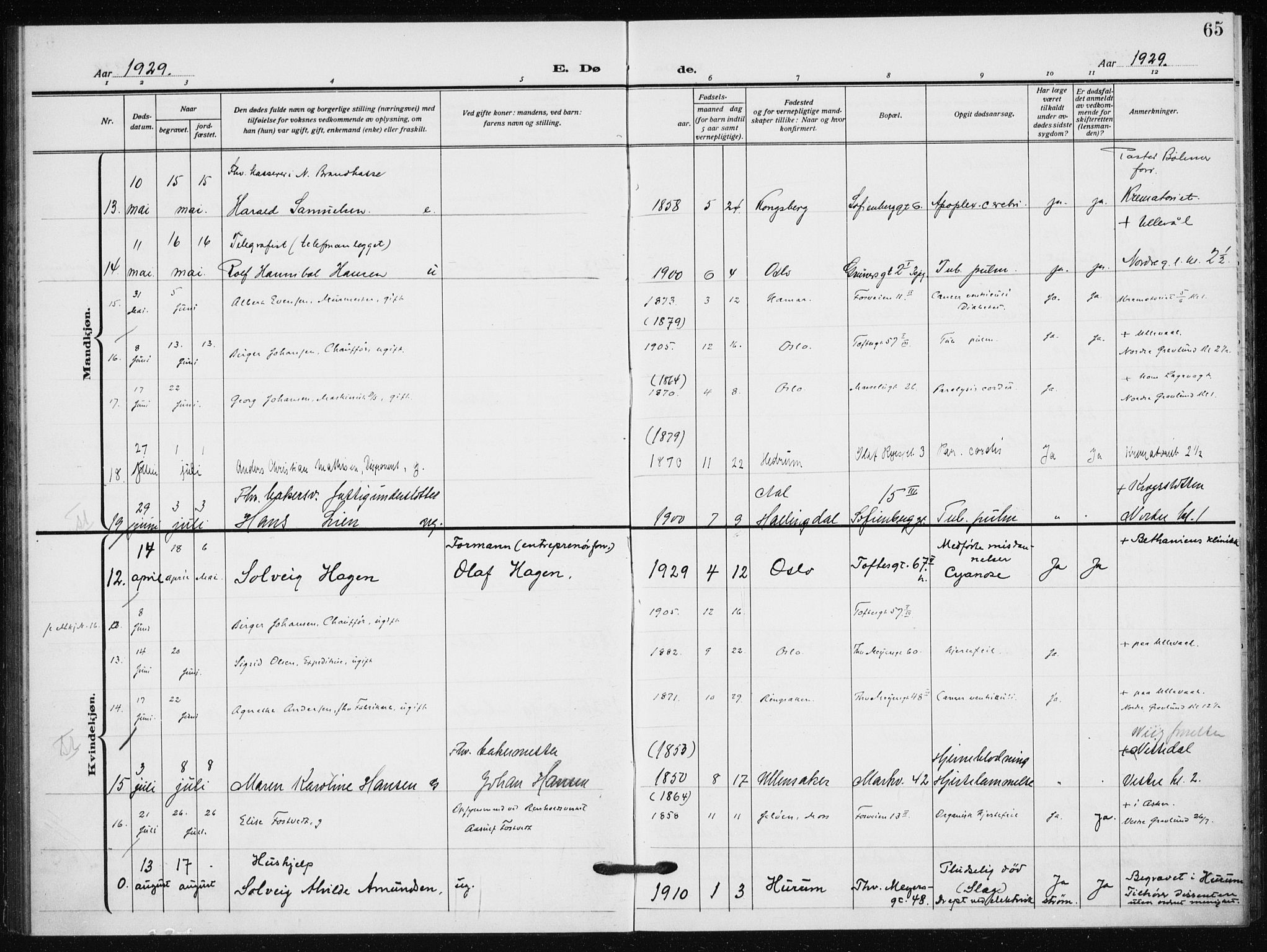 Hauge prestekontor Kirkebøker, AV/SAO-A-10849/F/Fa/L0005: Parish register (official) no. 5, 1917-1938, p. 65