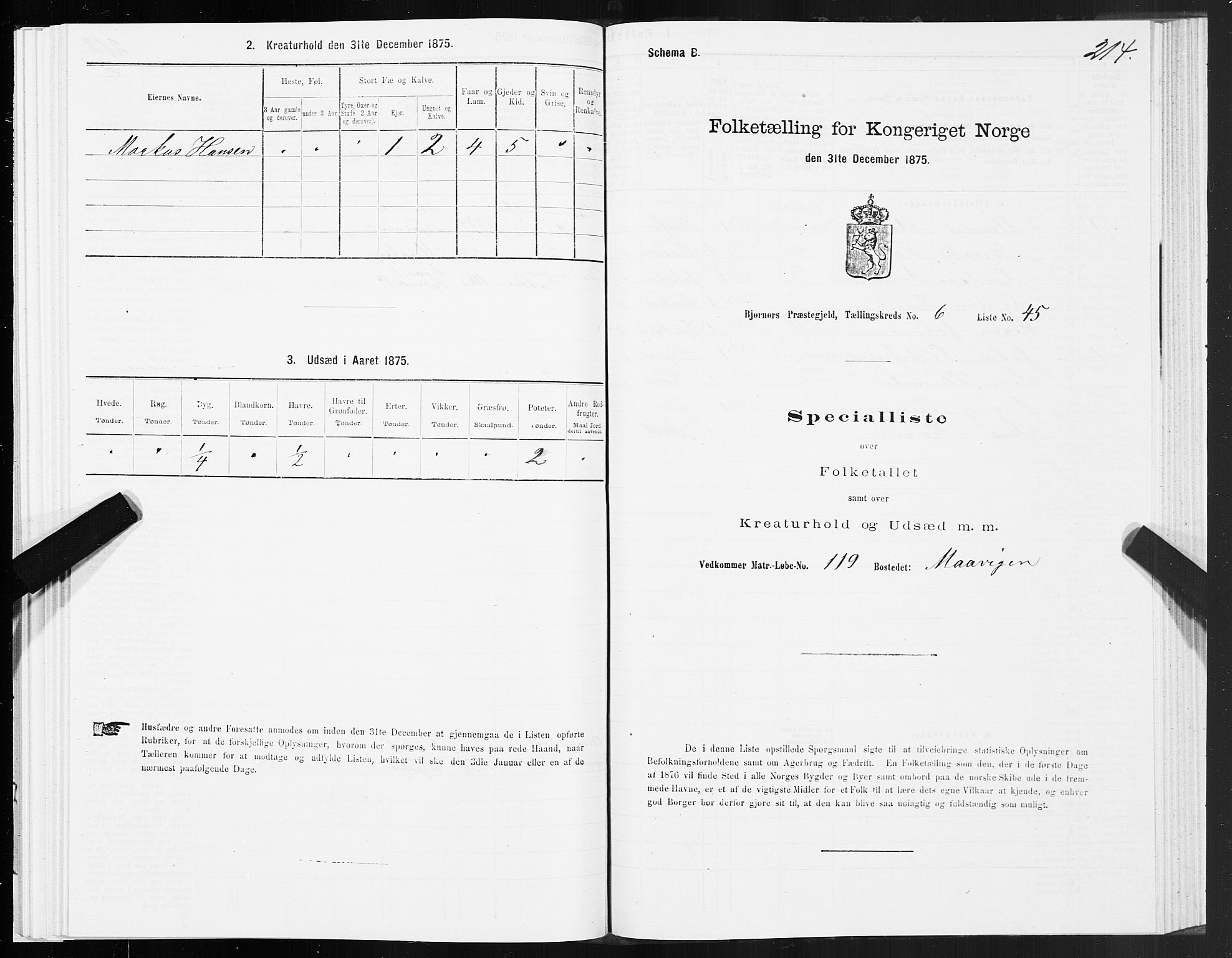 SAT, 1875 census for 1632P Bjørnør, 1875, p. 3214
