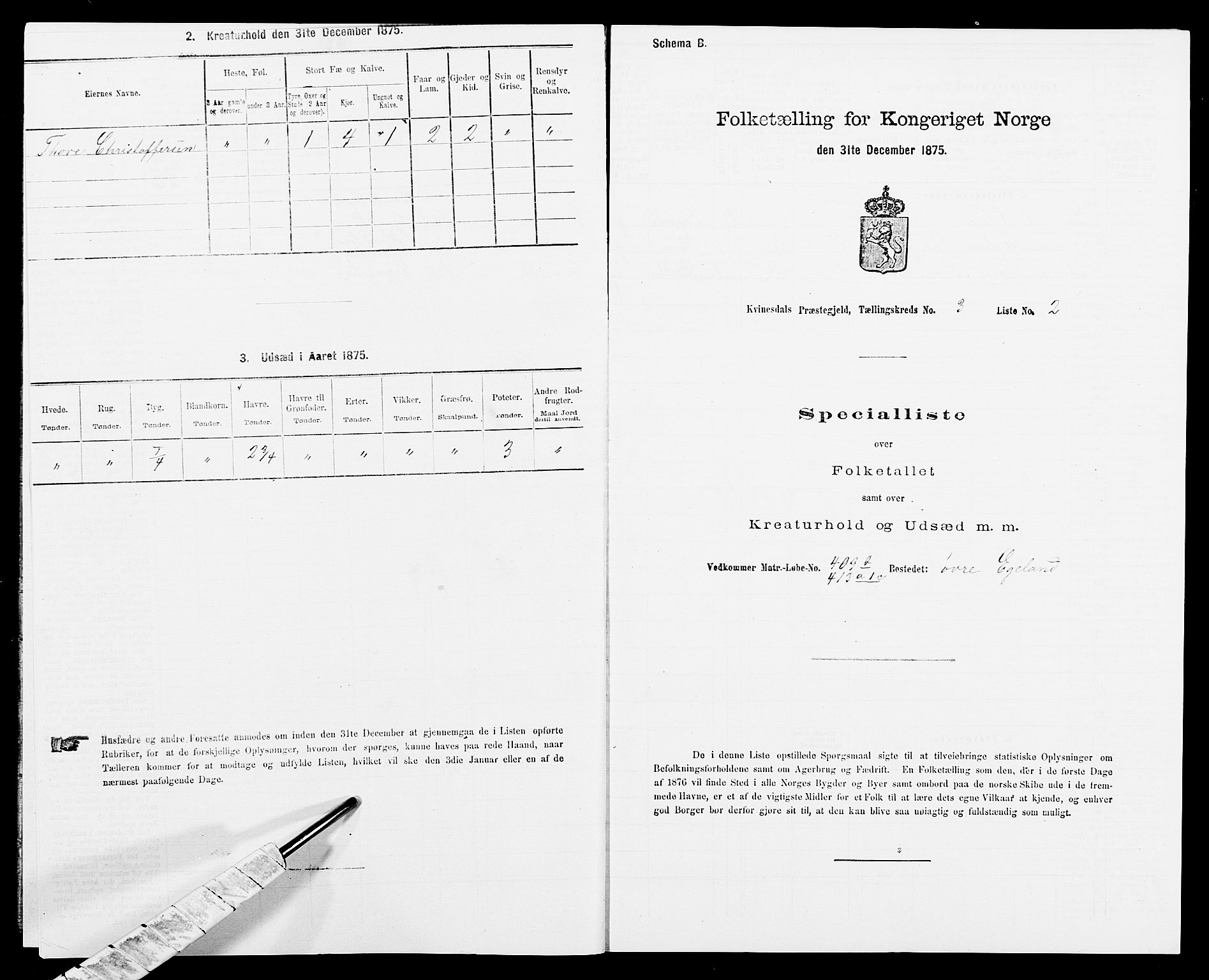 SAK, 1875 census for 1037P Kvinesdal, 1875, p. 428