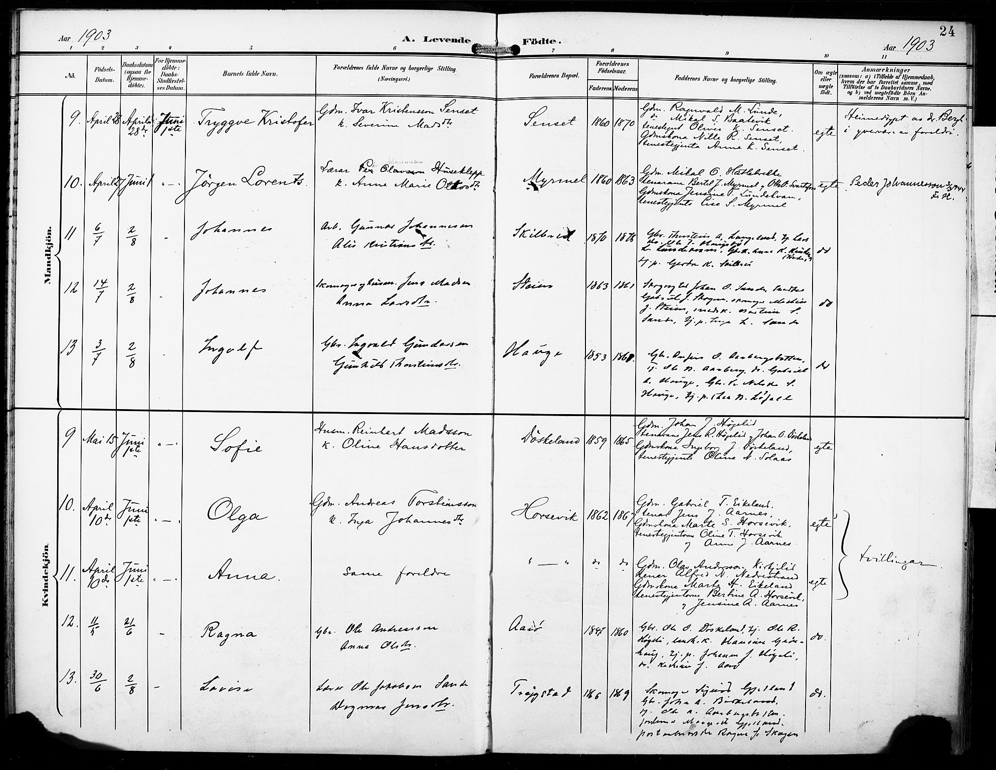 Gaular sokneprestembete, AV/SAB-A-80001/H/Haa: Parish register (official) no. B 2, 1898-1911, p. 24