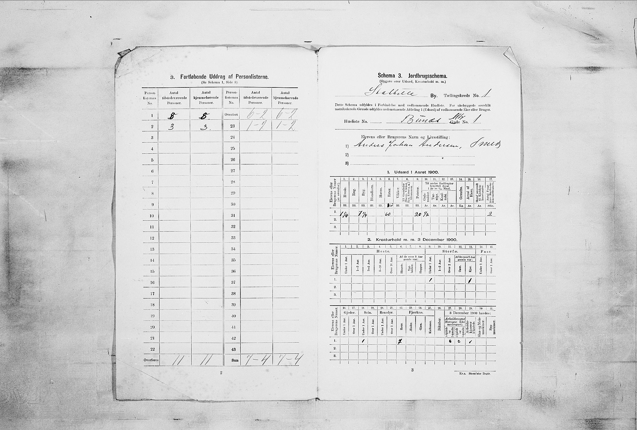 SAKO, 1900 census for Stathelle, 1900, p. 11