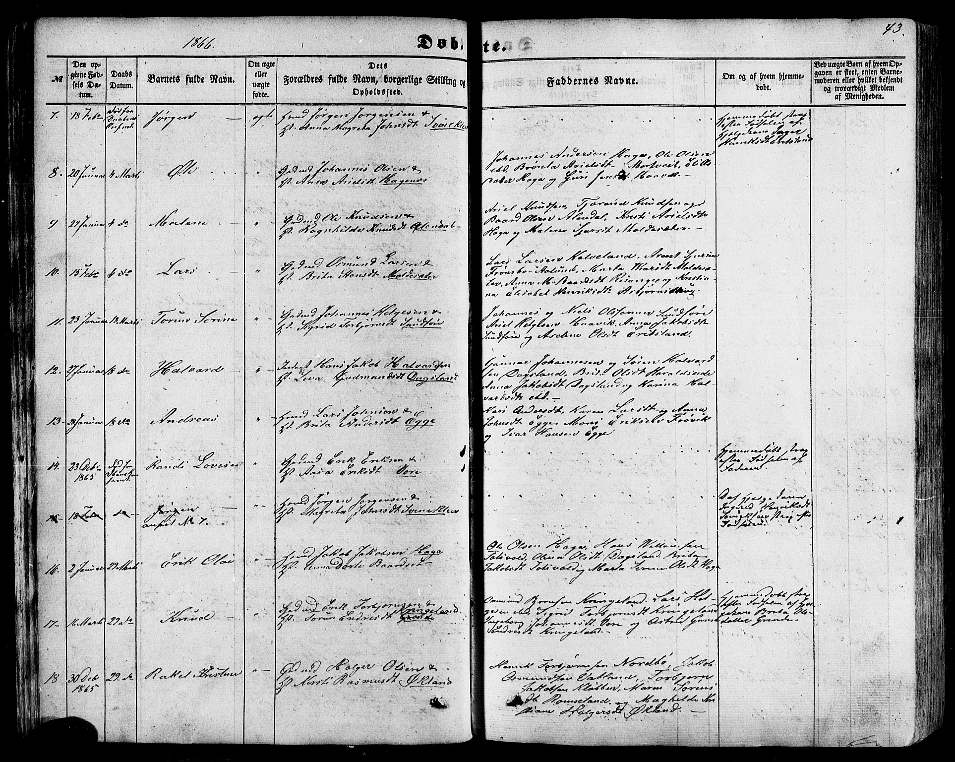 Skjold sokneprestkontor, AV/SAST-A-101847/H/Ha/Haa/L0008: Parish register (official) no. A 8, 1856-1882, p. 43