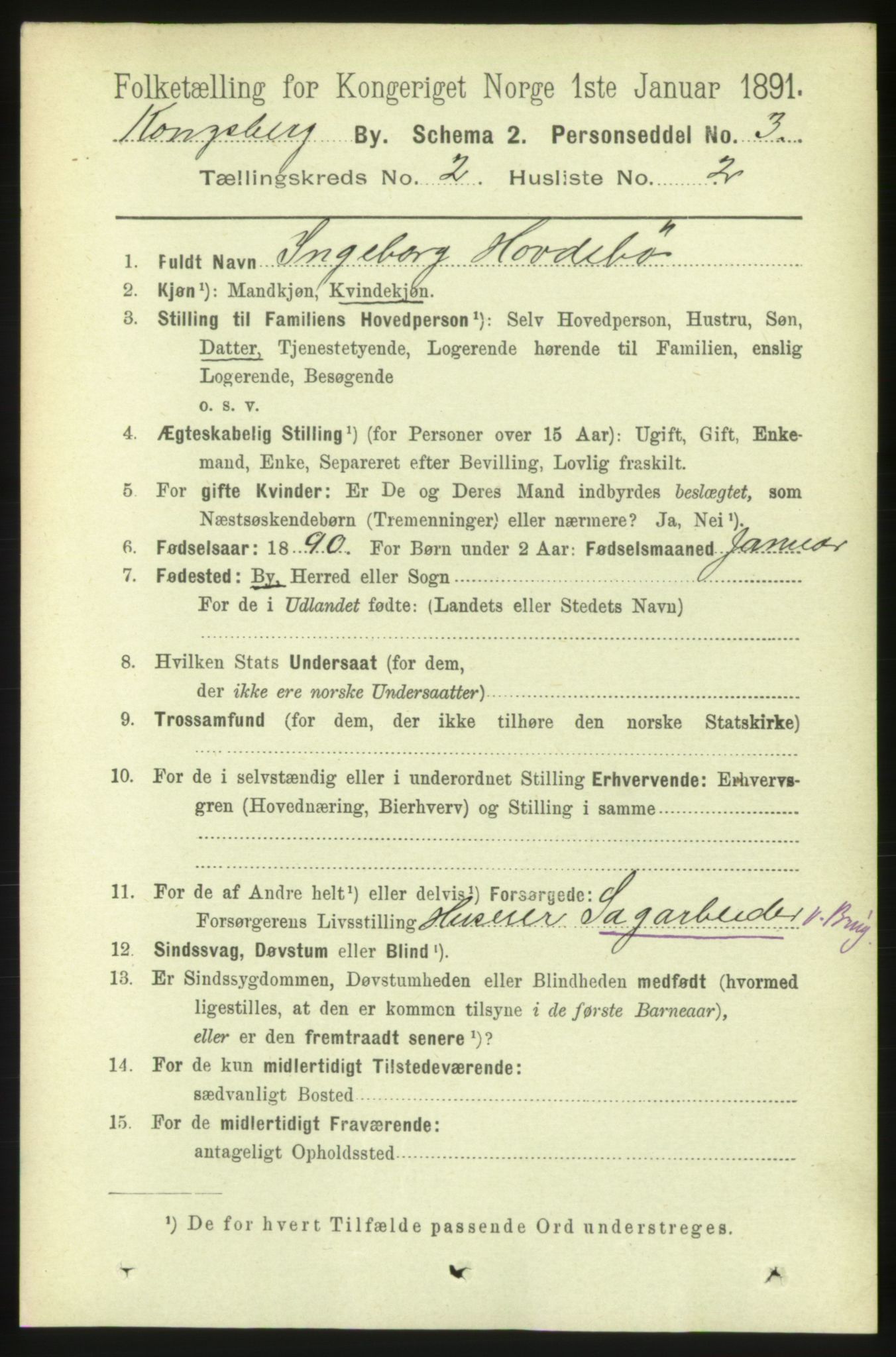 RA, 1891 census for 0604 Kongsberg, 1891, p. 2229