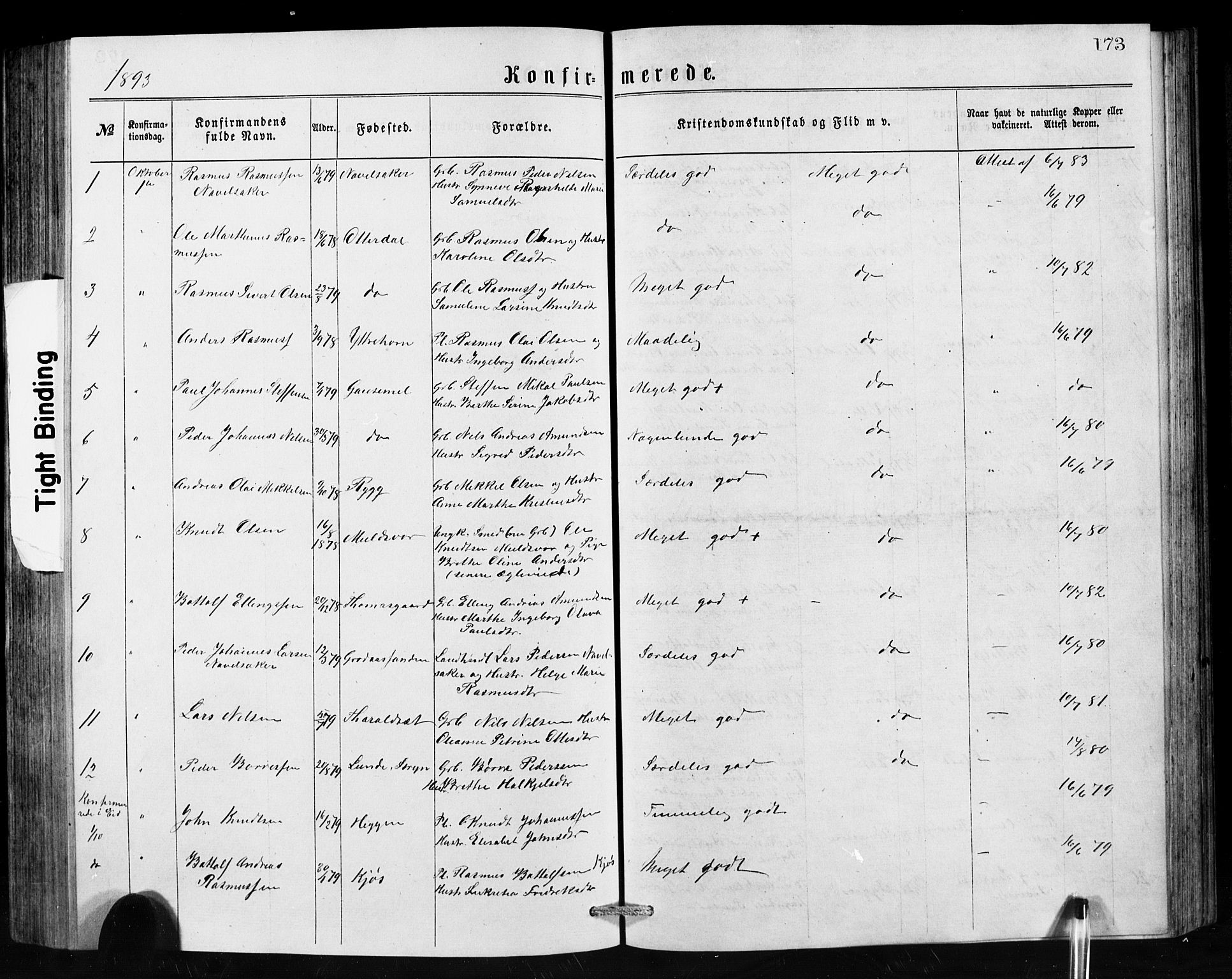 Hornindal sokneprestembete, AV/SAB-A-82401/H/Hab: Parish register (copy) no. A 1, 1876-1894, p. 173