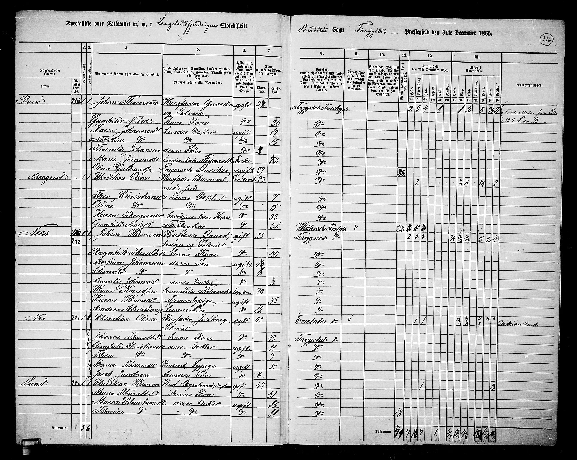 RA, 1865 census for Trøgstad, 1865, p. 191