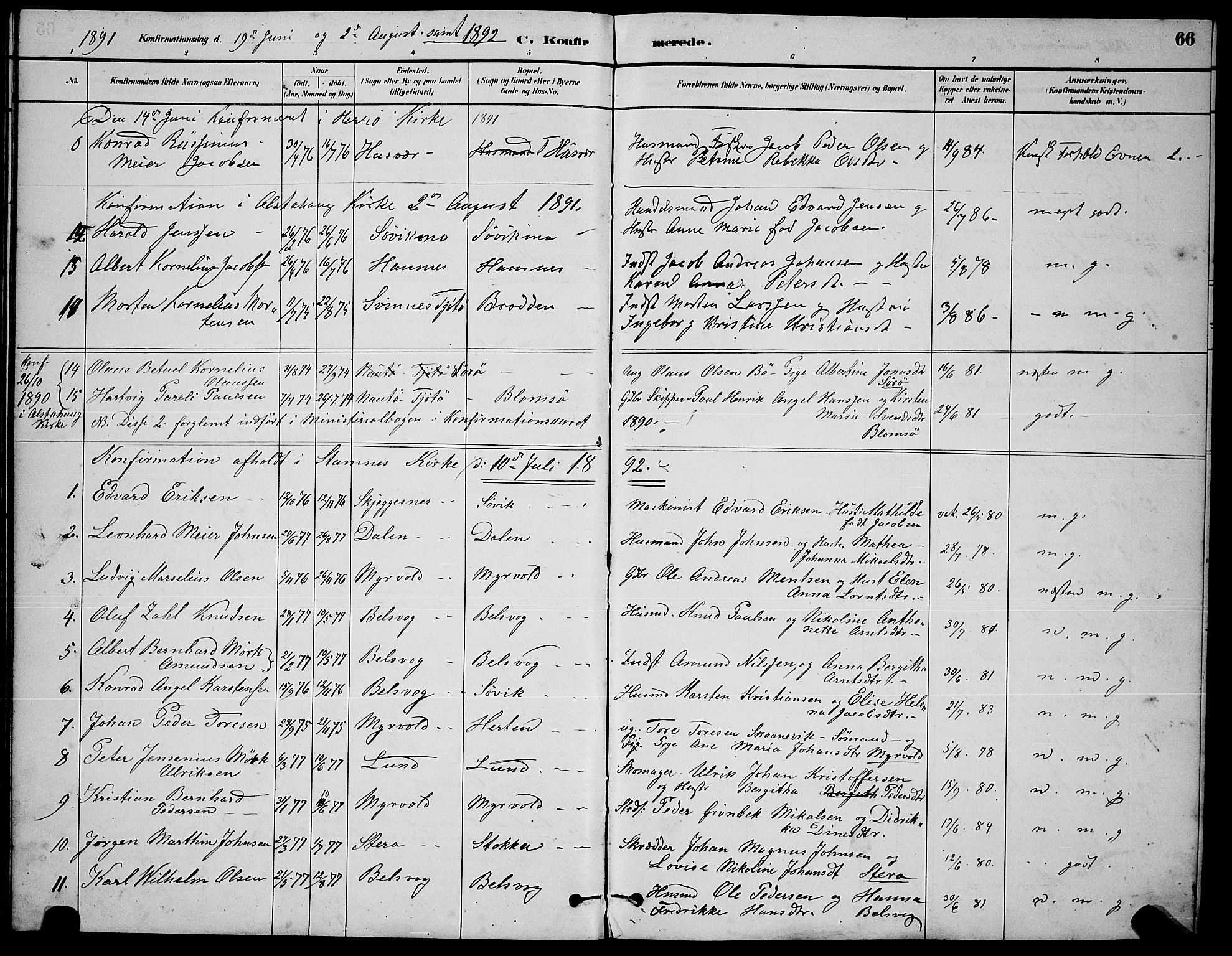 Ministerialprotokoller, klokkerbøker og fødselsregistre - Nordland, AV/SAT-A-1459/830/L0462: Parish register (copy) no. 830C04, 1882-1895, p. 66