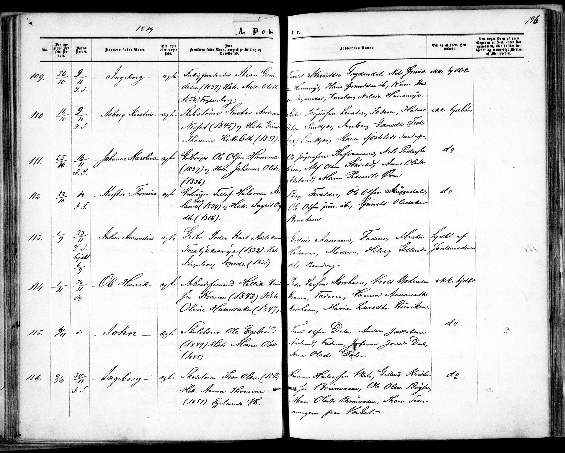 Søndeled sokneprestkontor, AV/SAK-1111-0038/F/Fa/L0003: Parish register (official) no. A 3, 1861-1879, p. 196