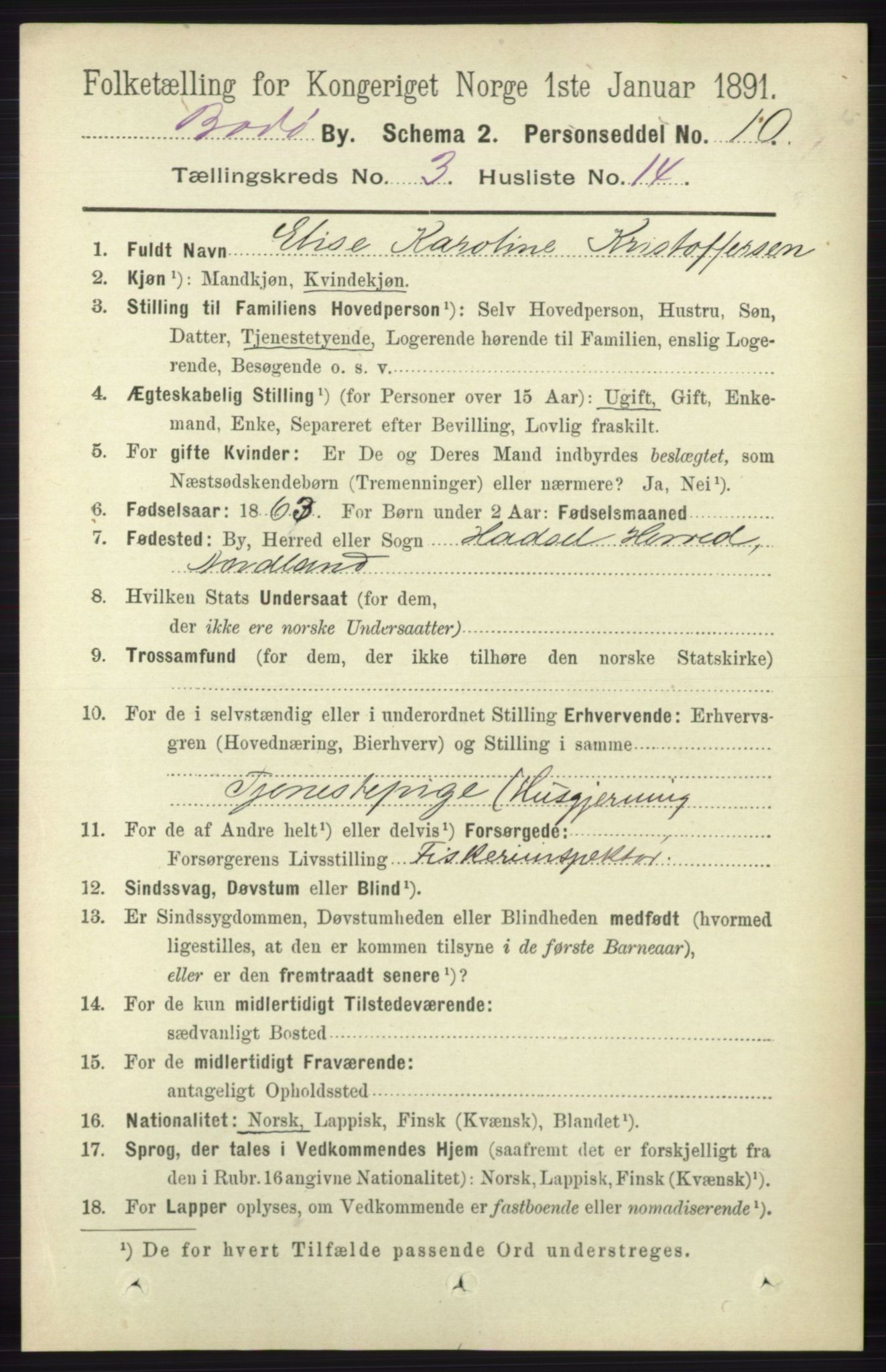 RA, 1891 census for 1804 Bodø, 1891, p. 2189