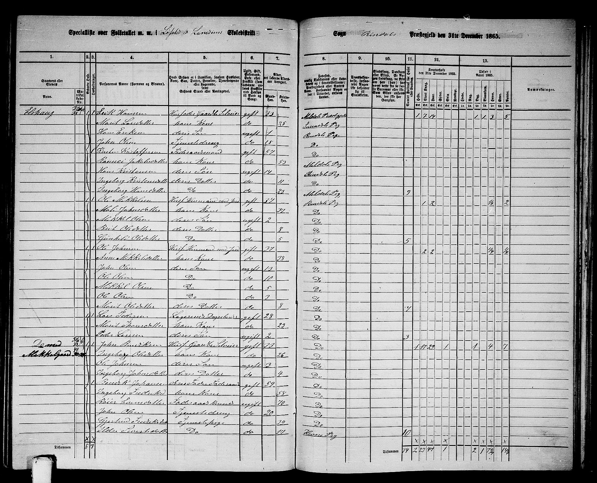 RA, 1865 census for Rindal, 1865, p. 44