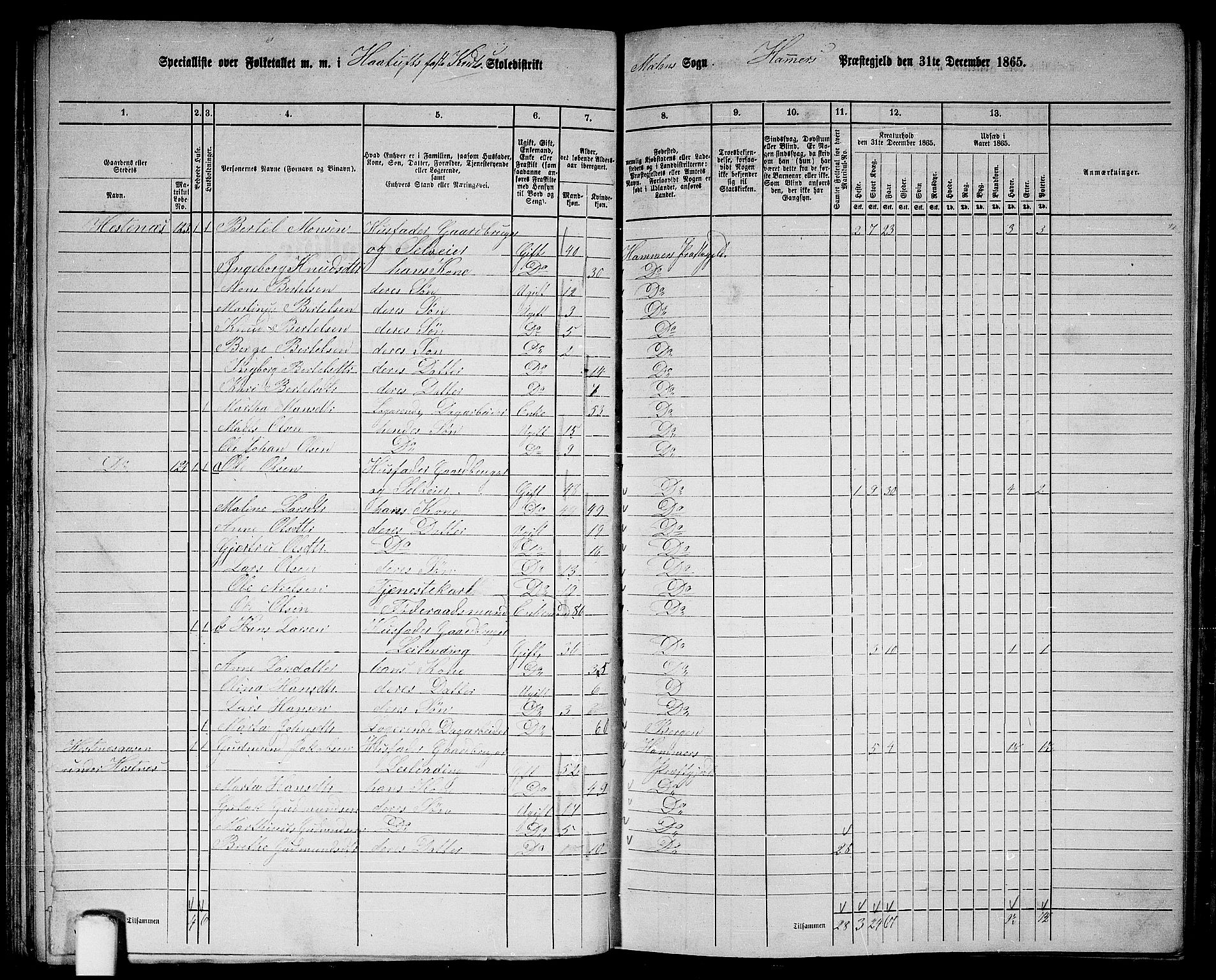 RA, 1865 census for Hamre, 1865, p. 61