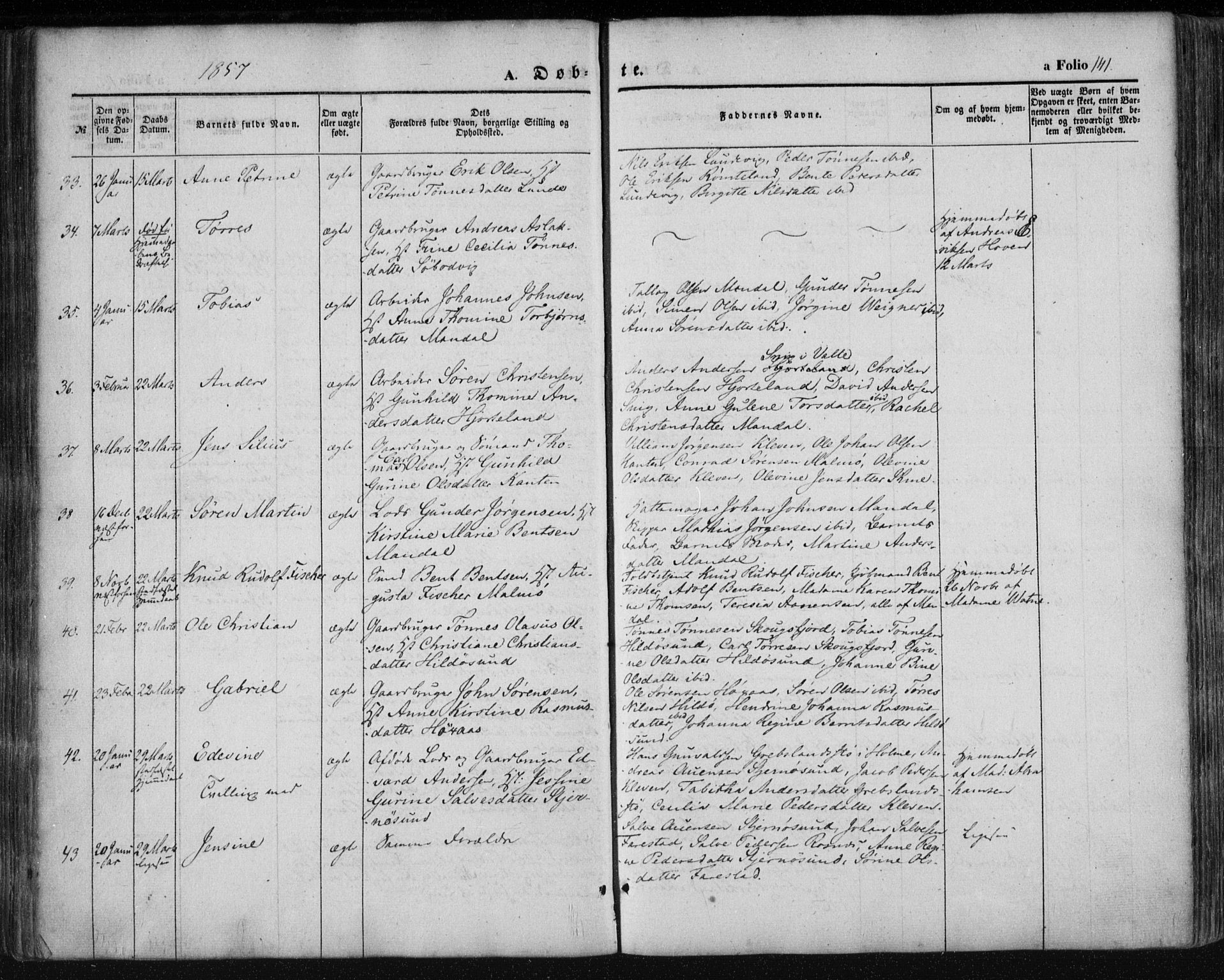 Mandal sokneprestkontor, SAK/1111-0030/F/Fa/Faa/L0013: Parish register (official) no. A 13, 1847-1859, p. 141