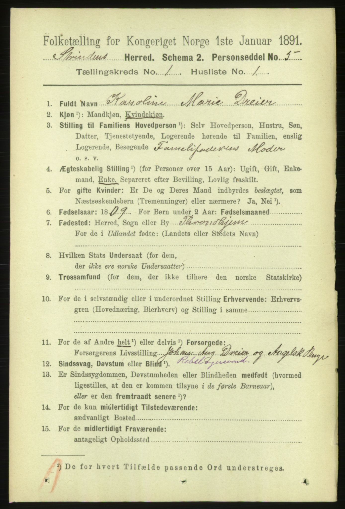 RA, 1891 census for 1660 Strinda, 1891, p. 111