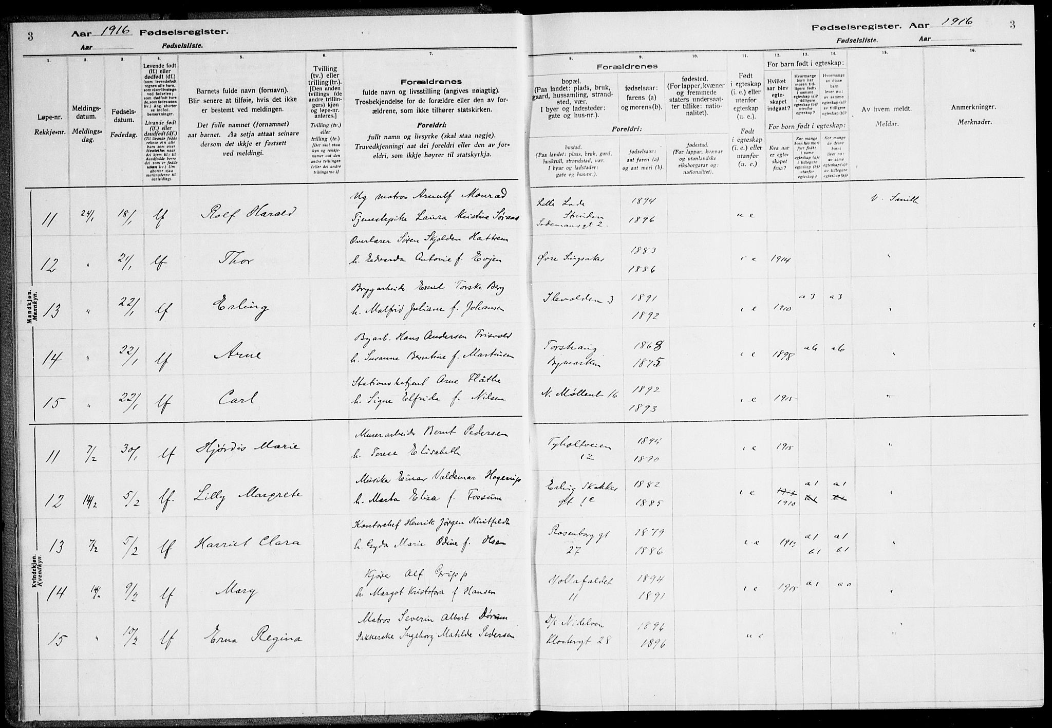 Ministerialprotokoller, klokkerbøker og fødselsregistre - Sør-Trøndelag, SAT/A-1456/600/L0002: Birth register no. 600.II.4.1, 1916-1920, p. 3