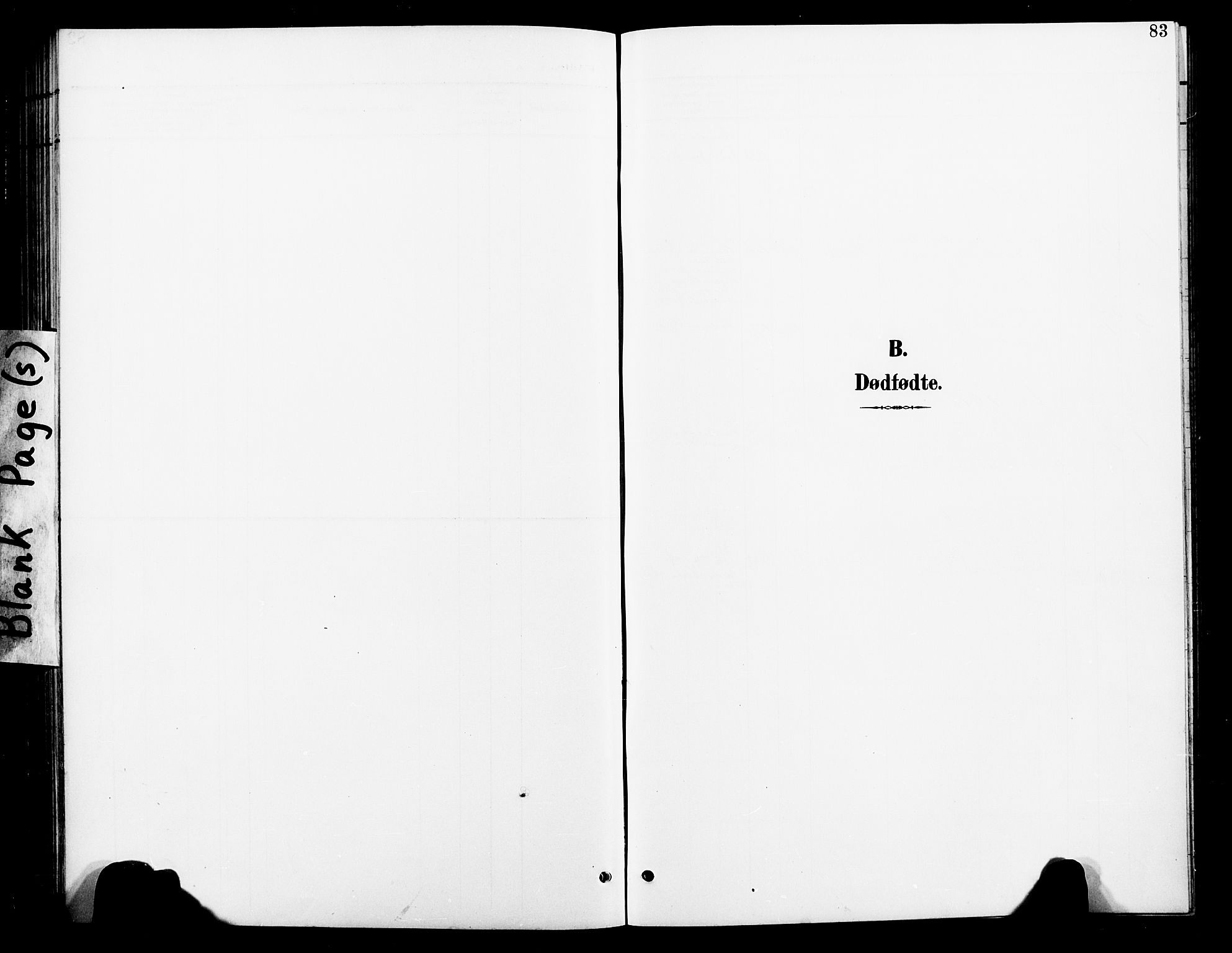 Ministerialprotokoller, klokkerbøker og fødselsregistre - Nord-Trøndelag, AV/SAT-A-1458/739/L0375: Parish register (copy) no. 739C03, 1898-1908, p. 83