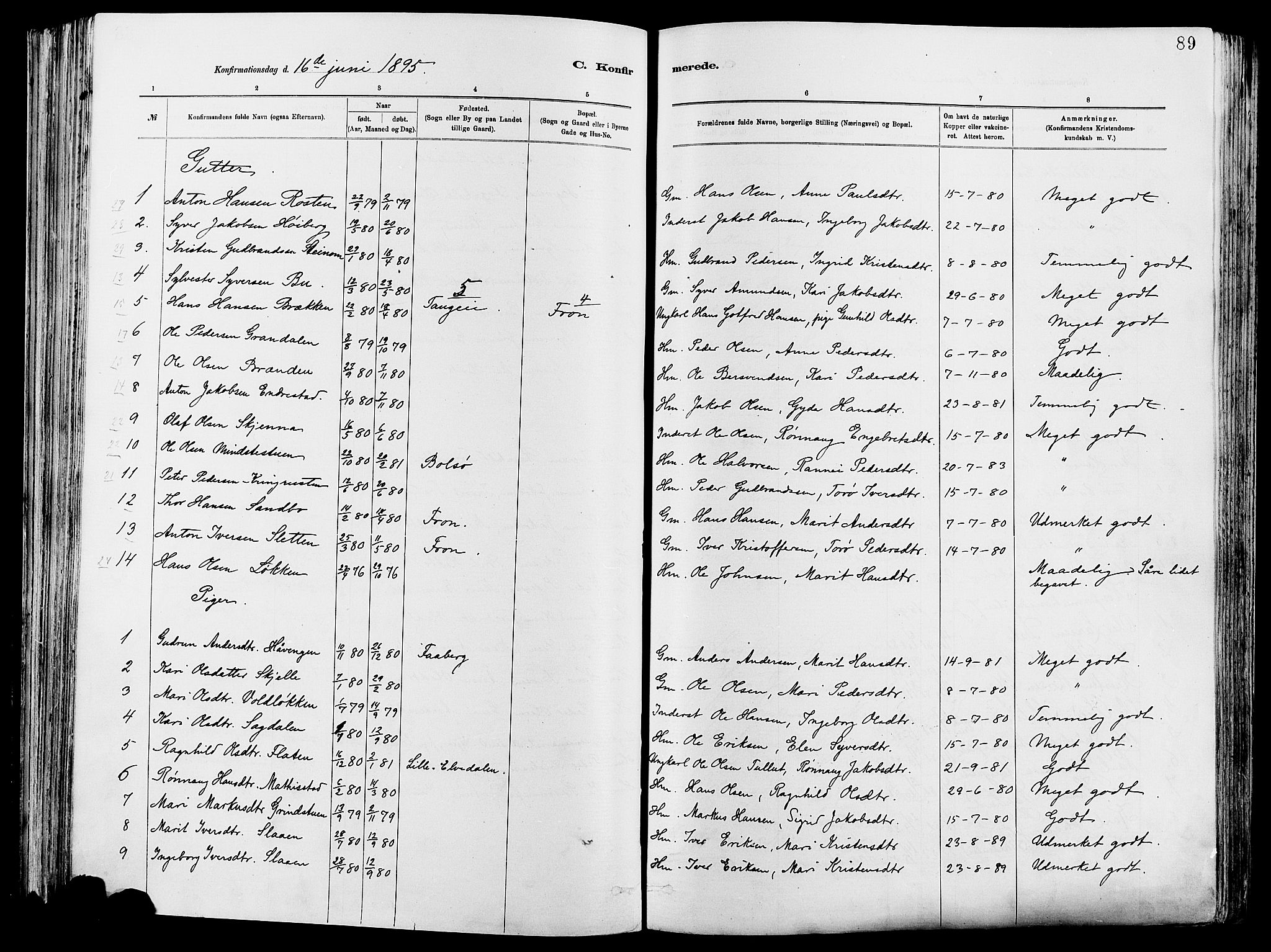 Vågå prestekontor, SAH/PREST-076/H/Ha/Haa/L0008: Parish register (official) no. 8, 1886-1904, p. 89