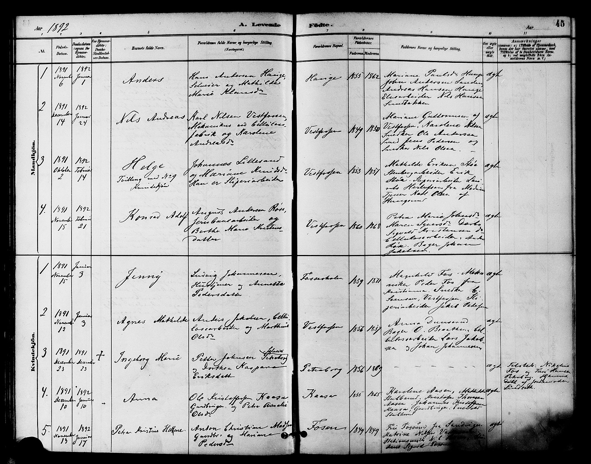 Eiker kirkebøker, AV/SAKO-A-4/F/Fb/L0002: Parish register (official) no. II 2, 1889-1896, p. 45