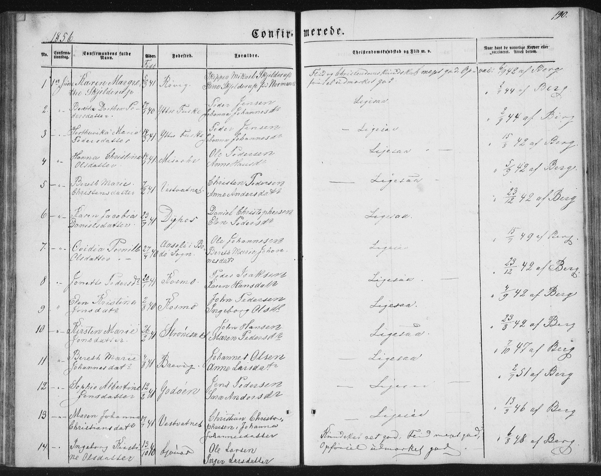 Ministerialprotokoller, klokkerbøker og fødselsregistre - Nordland, AV/SAT-A-1459/852/L0738: Parish register (official) no. 852A08, 1849-1865, p. 190