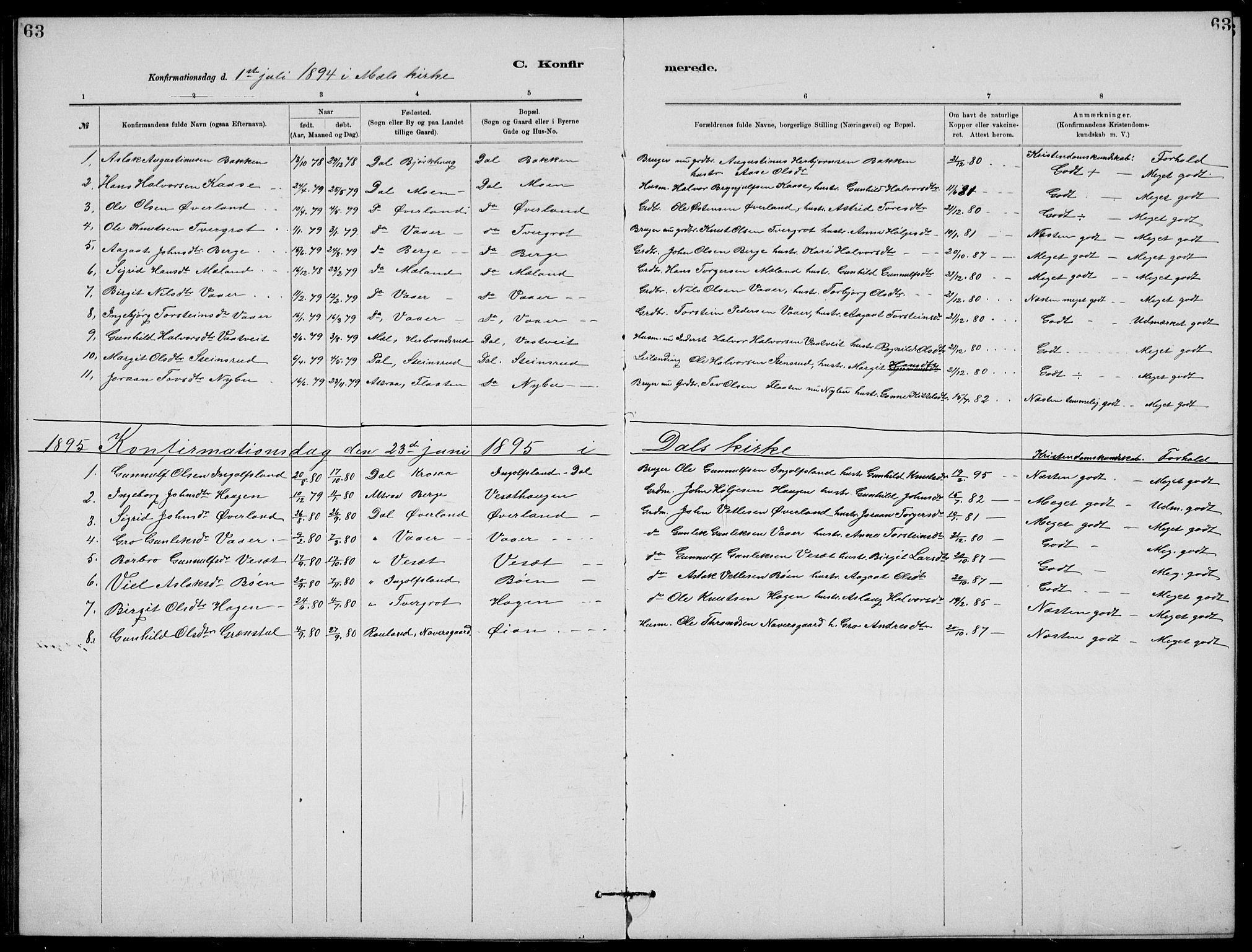 Rjukan kirkebøker, SAKO/A-294/G/Ga/L0001: Parish register (copy) no. 1, 1880-1914, p. 63