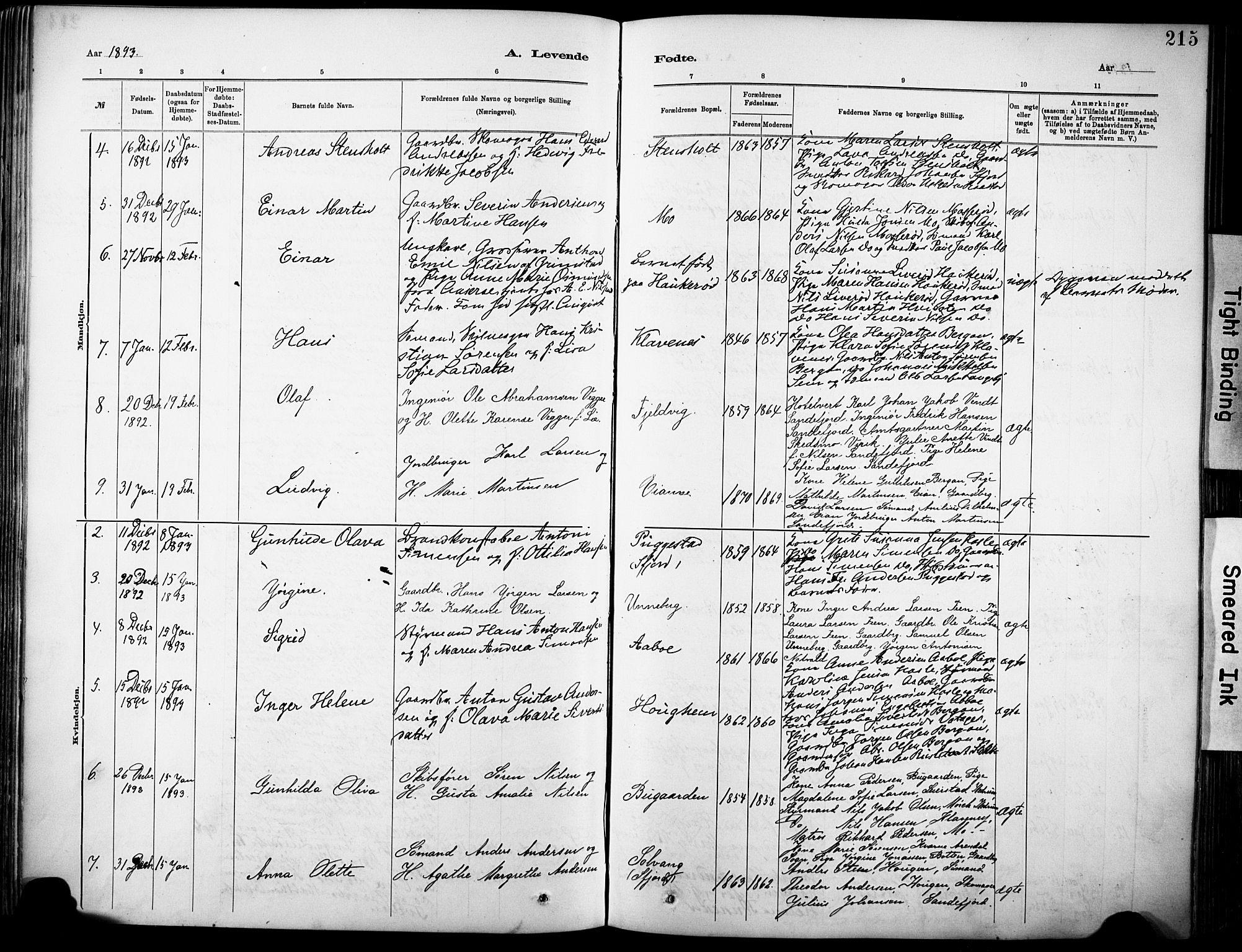 Sandar kirkebøker, AV/SAKO-A-243/F/Fa/L0012: Parish register (official) no. 12, 1883-1895, p. 215