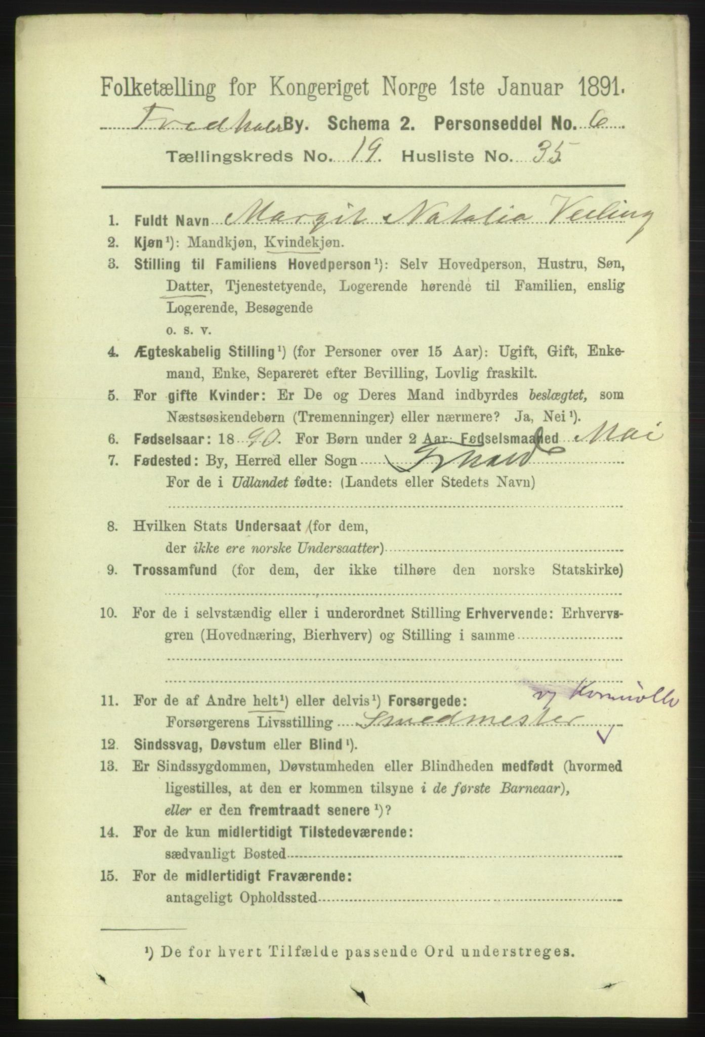 RA, 1891 census for 0101 Fredrikshald, 1891, p. 12438