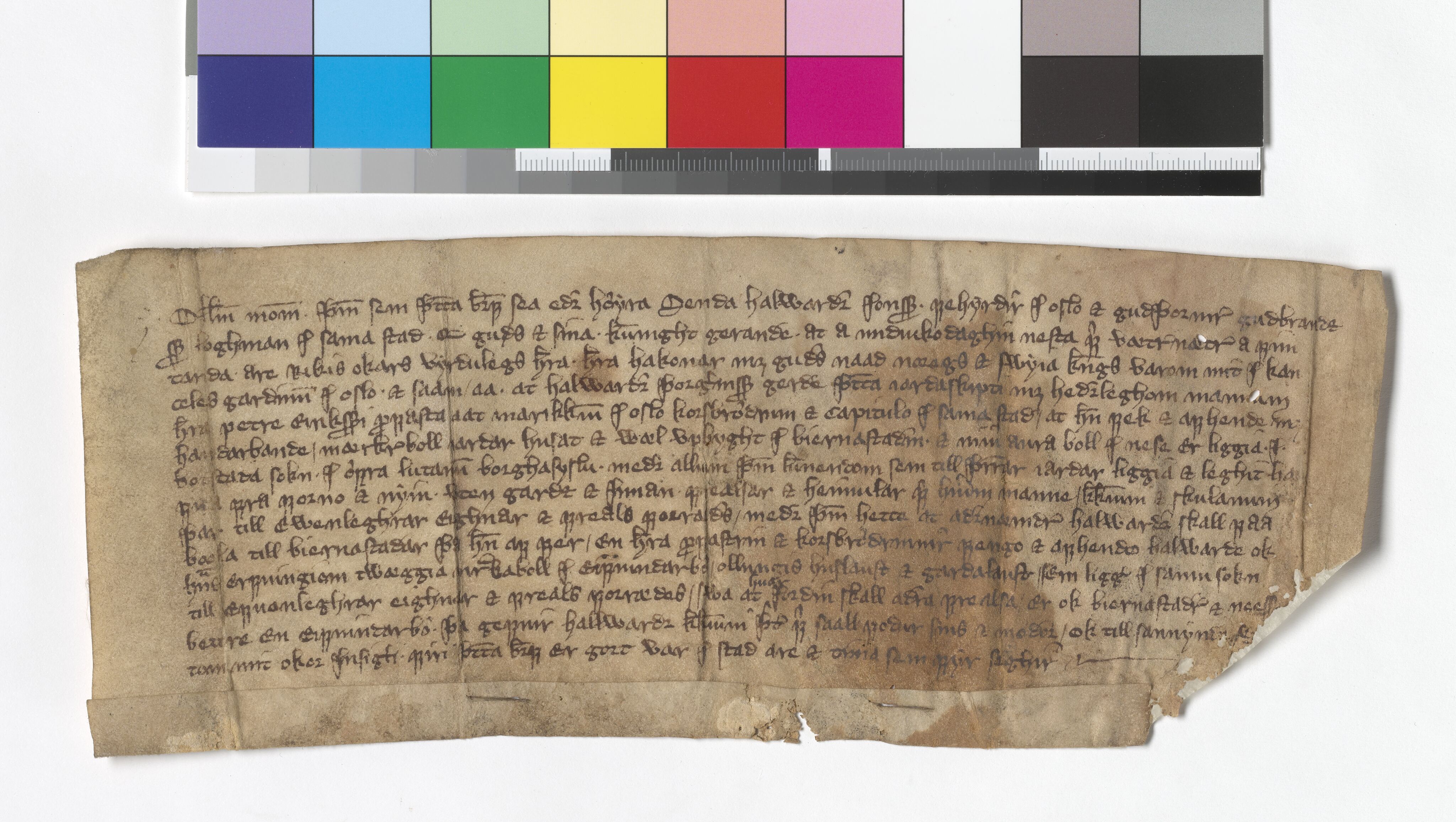 Riksarkivets diplomsamling, AV/RA-EA-5965/F05/L0175: NRA AM fasc. 71 nr. 13-35, 1368-1372, p. 15
