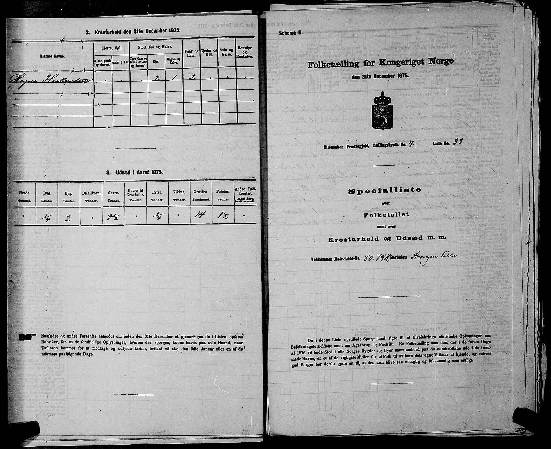 RA, 1875 census for 0235P Ullensaker, 1875, p. 552