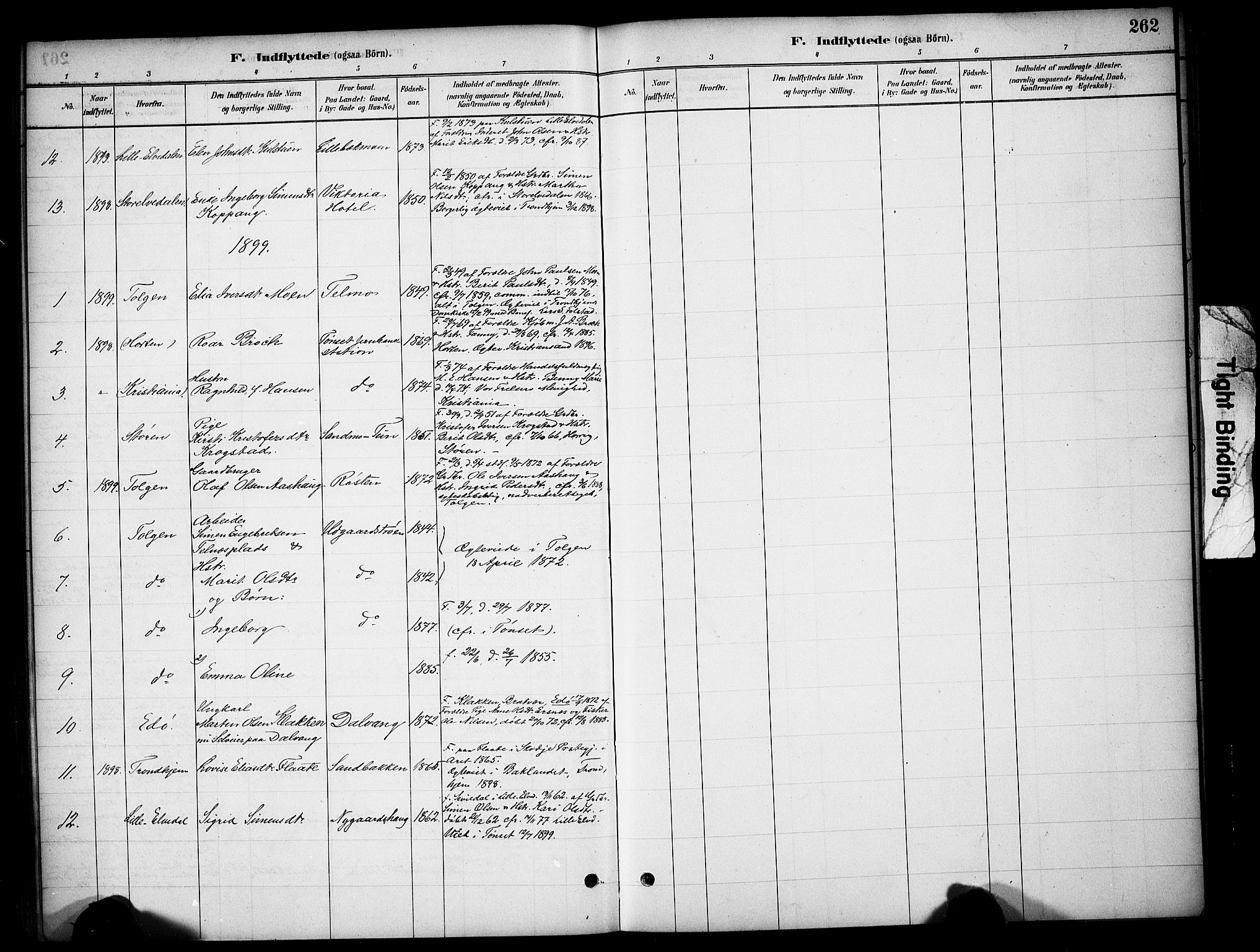 Tynset prestekontor, SAH/PREST-058/H/Ha/Hab/L0006: Parish register (copy) no. 6, 1880-1899, p. 262