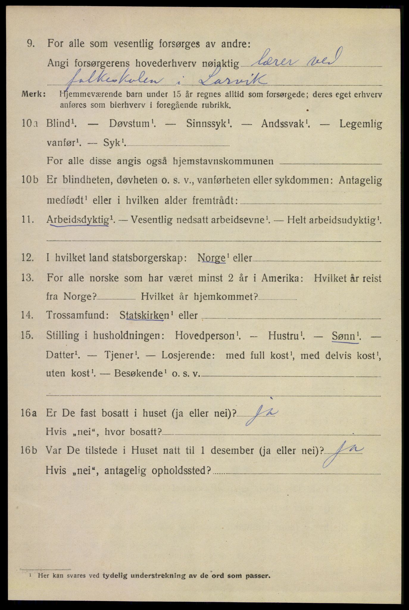 SAKO, 1920 census for Larvik, 1920, p. 13645