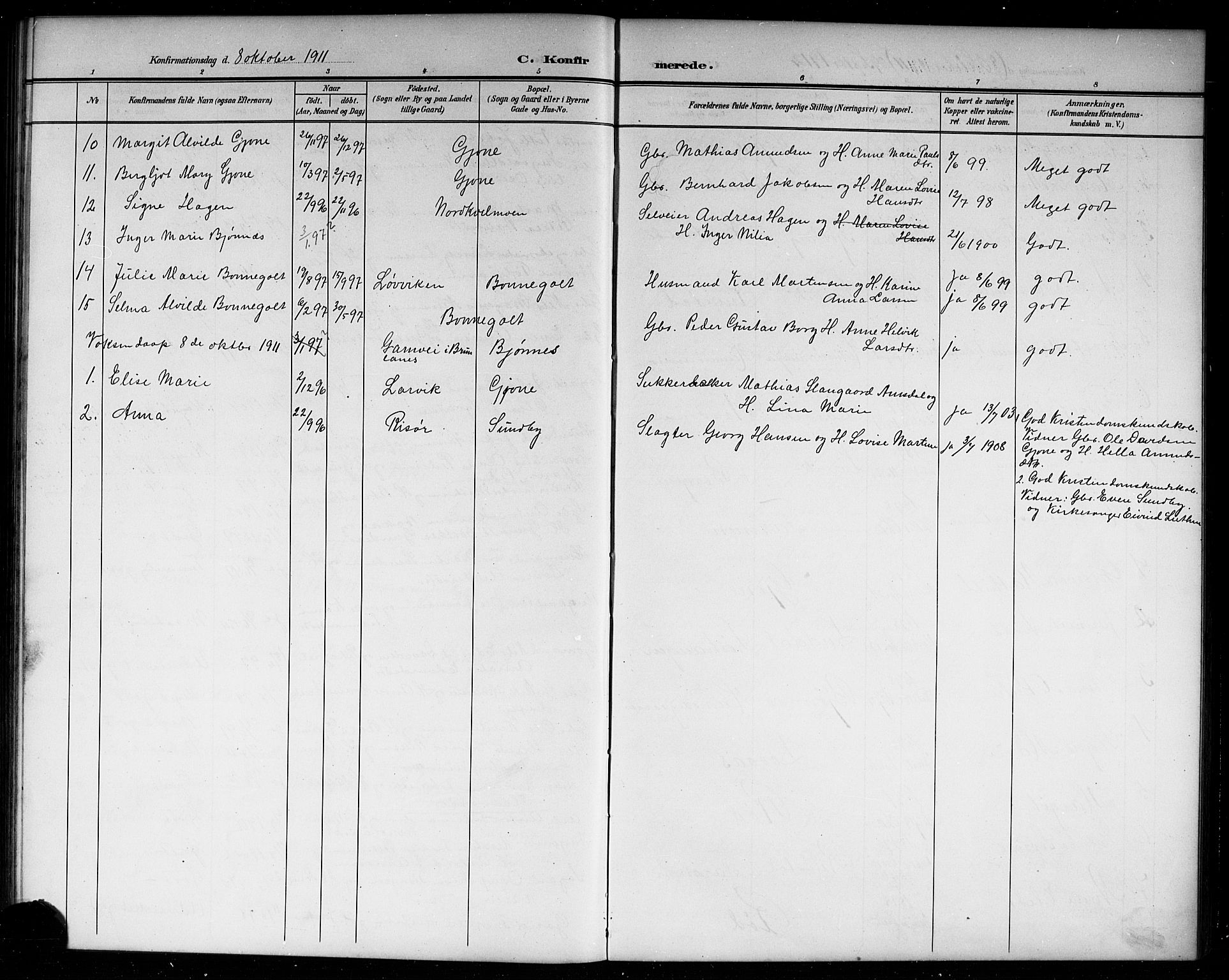 Hedrum kirkebøker, AV/SAKO-A-344/G/Gb/L0001: Parish register (copy) no. II 1, 1902-1920