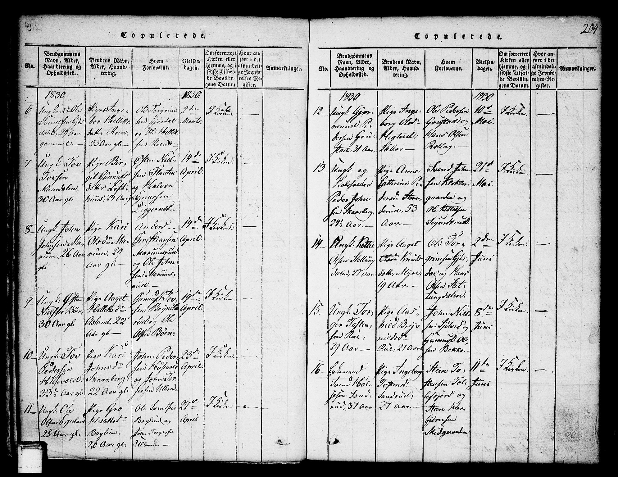 Tinn kirkebøker, SAKO/A-308/G/Ga/L0001: Parish register (copy) no. I 1, 1815-1850, p. 204