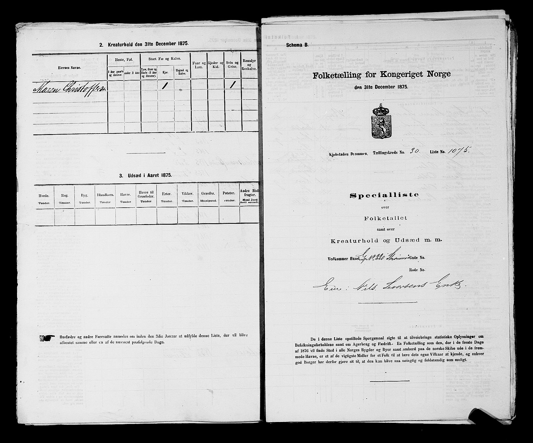SAKO, 1875 census for 0602 Drammen, 1875, p. 2788