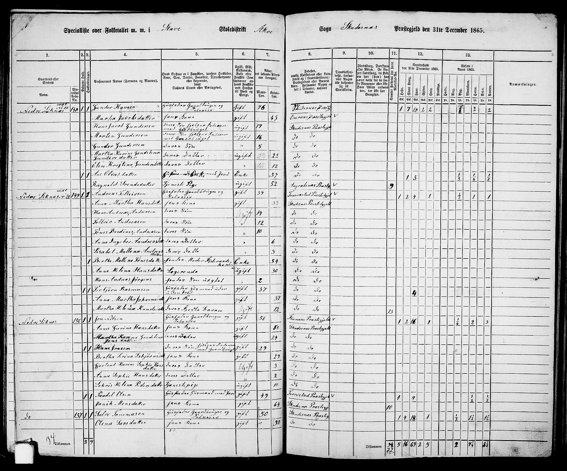 RA, 1865 census for Skudenes, 1865, p. 85