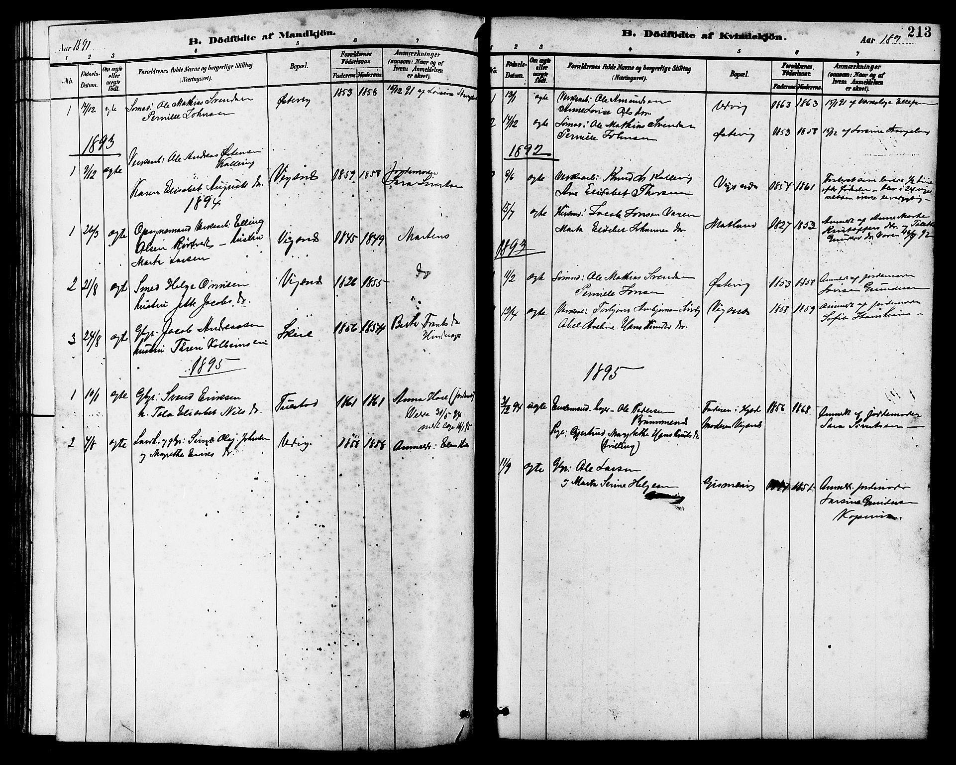 Avaldsnes sokneprestkontor, SAST/A -101851/H/Ha/Hab/L0007: Parish register (copy) no. B 7, 1885-1909, p. 213