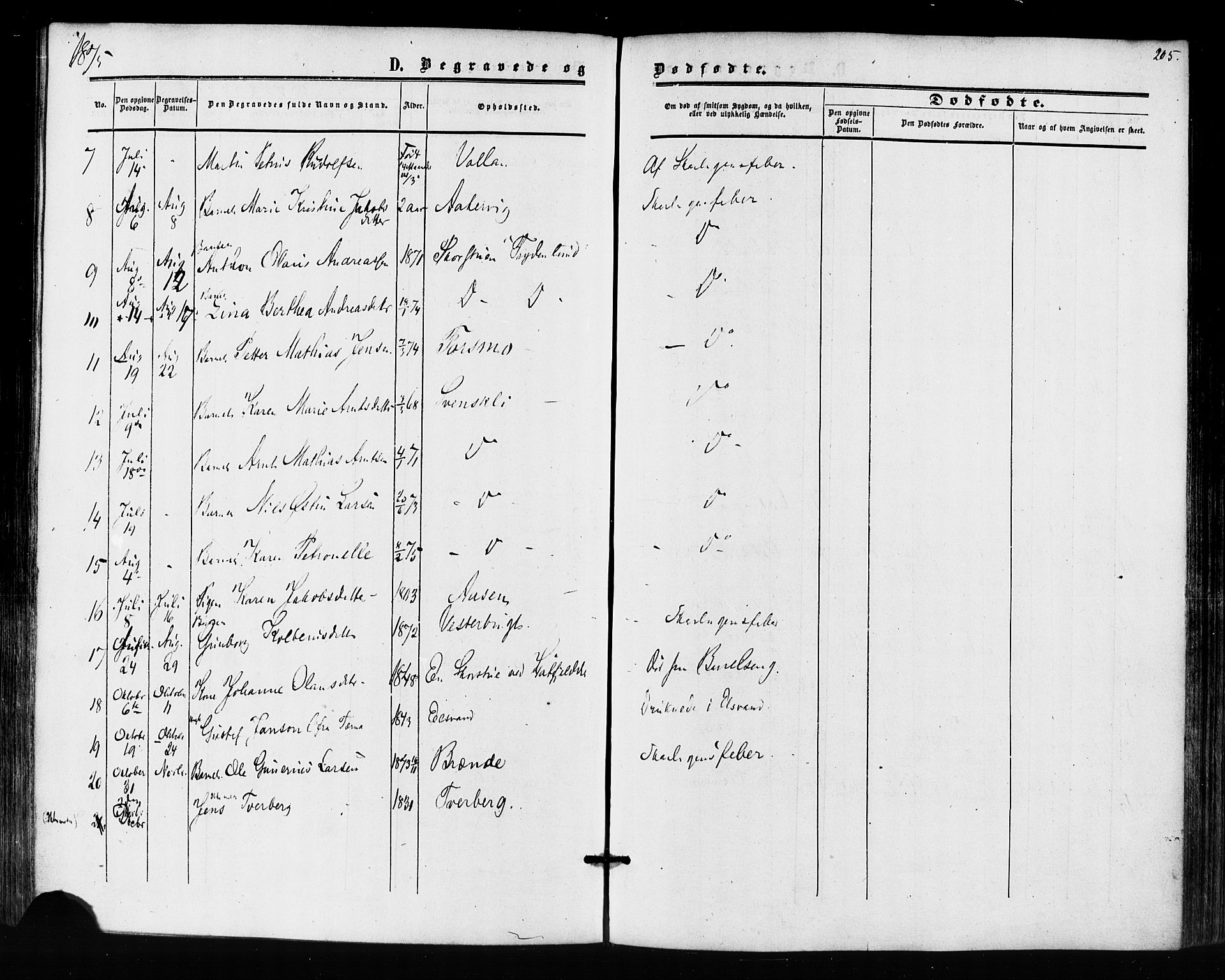 Ministerialprotokoller, klokkerbøker og fødselsregistre - Nordland, AV/SAT-A-1459/823/L0324: Parish register (official) no. 823A01, 1860-1878, p. 205