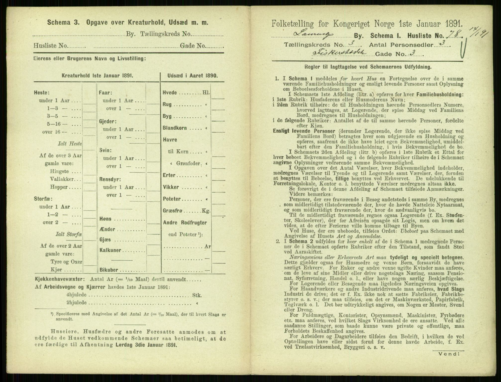 RA, 1891 census for 0707 Larvik, 1891, p. 525