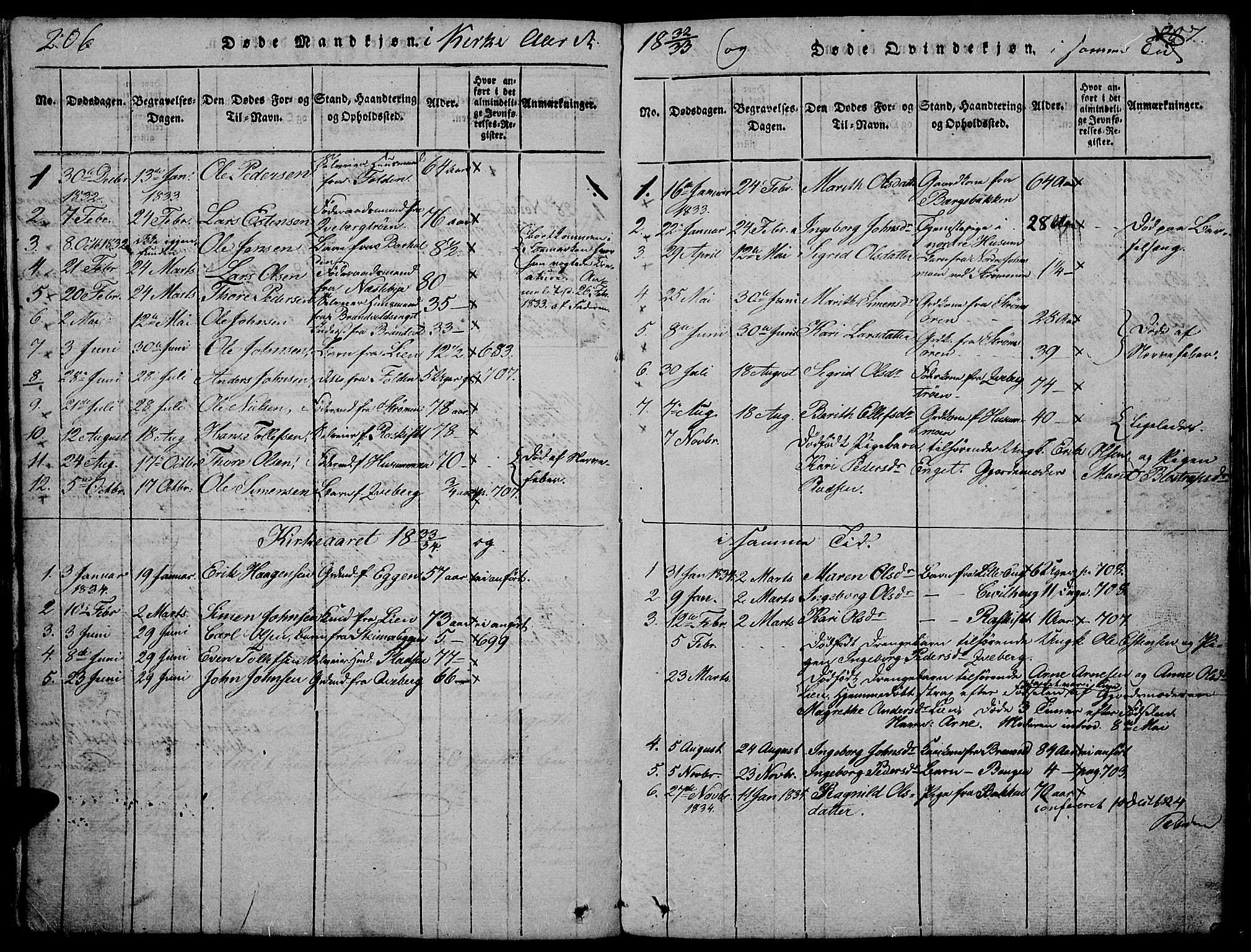 Tynset prestekontor, SAH/PREST-058/H/Ha/Hab/L0002: Parish register (copy) no. 2, 1814-1862, p. 206-207