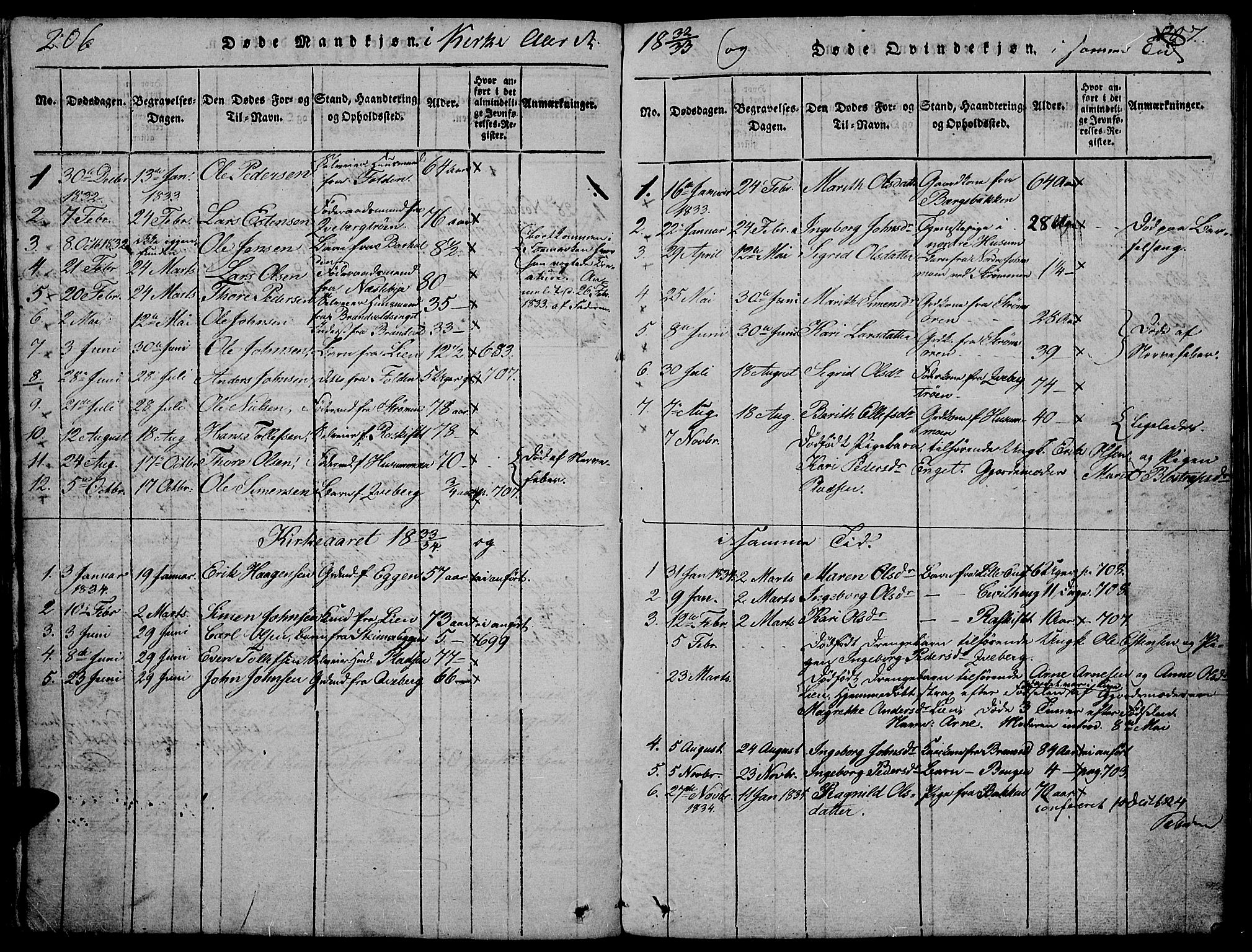Tynset prestekontor, AV/SAH-PREST-058/H/Ha/Hab/L0002: Parish register (copy) no. 2, 1814-1862, p. 206-207