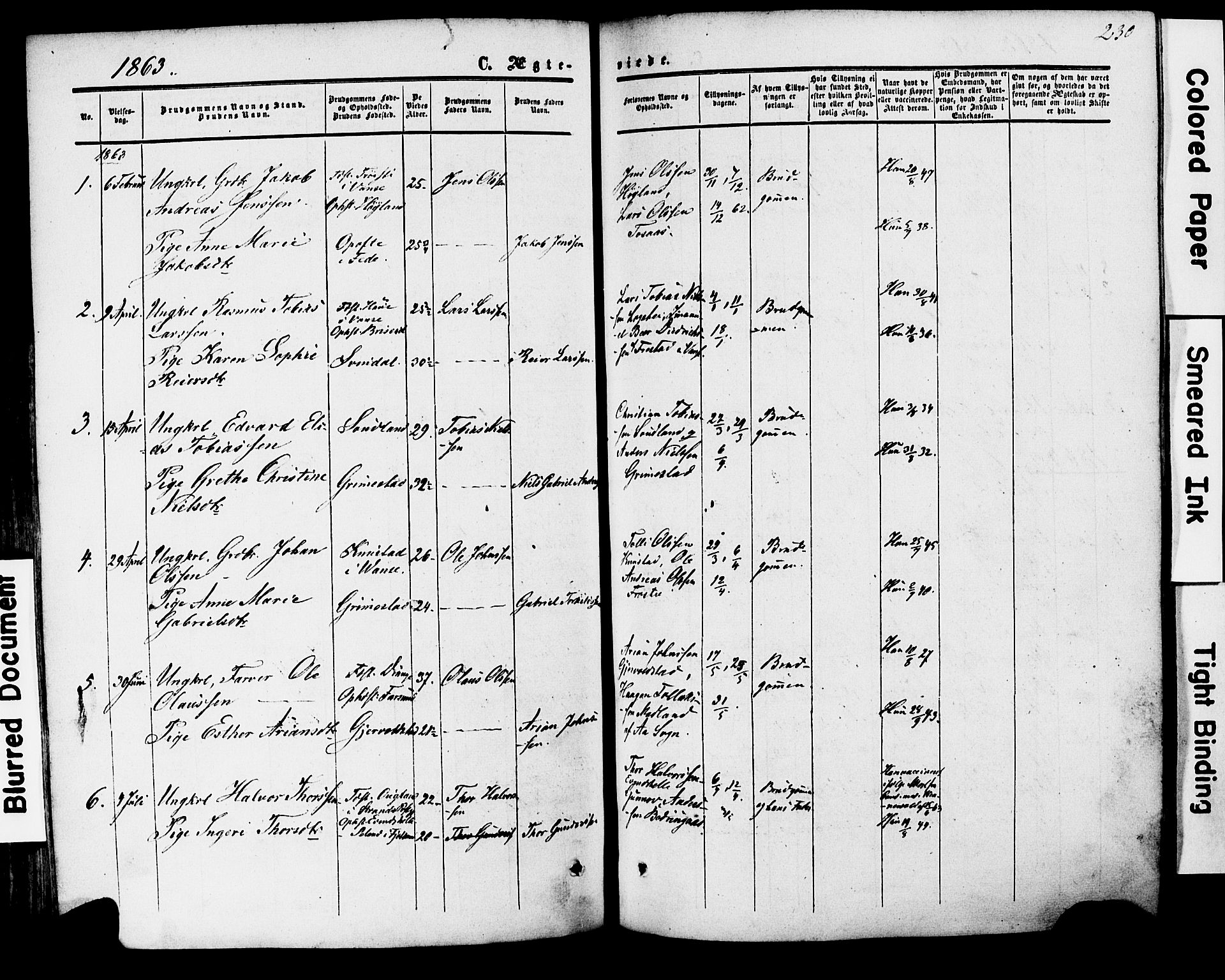 Herad sokneprestkontor, AV/SAK-1111-0018/F/Fa/Faa/L0005: Parish register (official) no. A 5, 1853-1886, p. 230