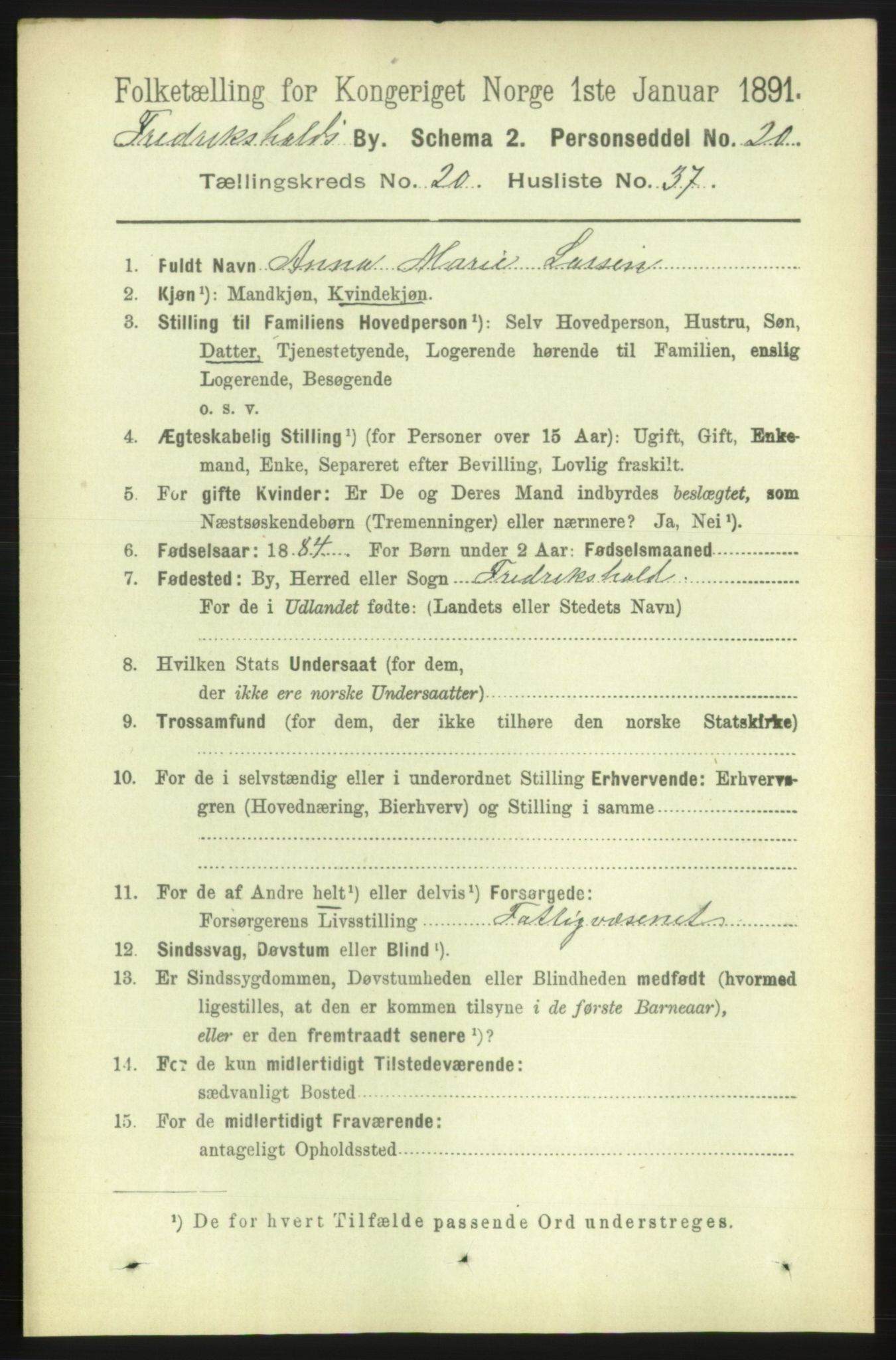 RA, 1891 census for 0101 Fredrikshald, 1891, p. 12877