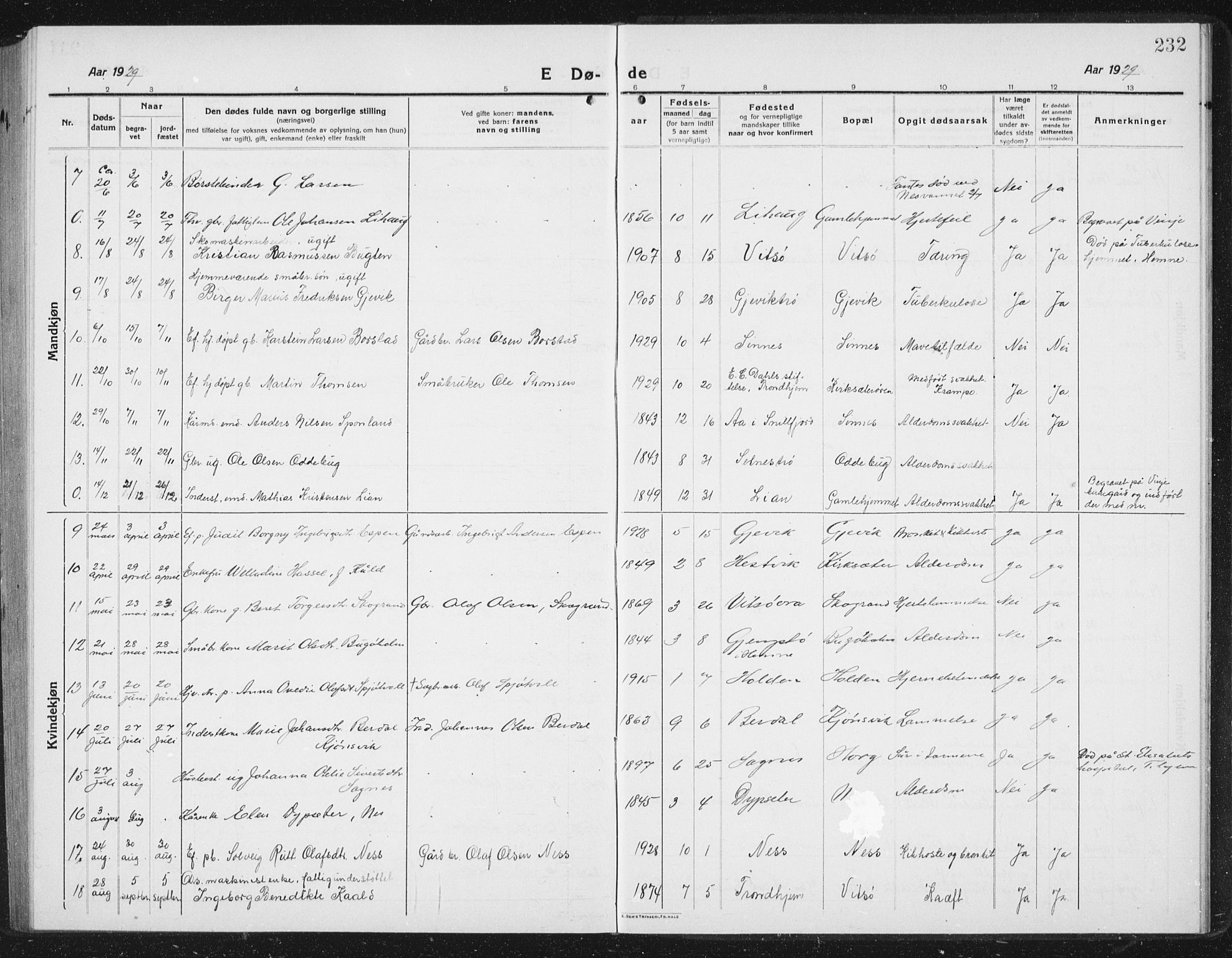 Ministerialprotokoller, klokkerbøker og fødselsregistre - Sør-Trøndelag, SAT/A-1456/630/L0506: Parish register (copy) no. 630C04, 1914-1933, p. 232