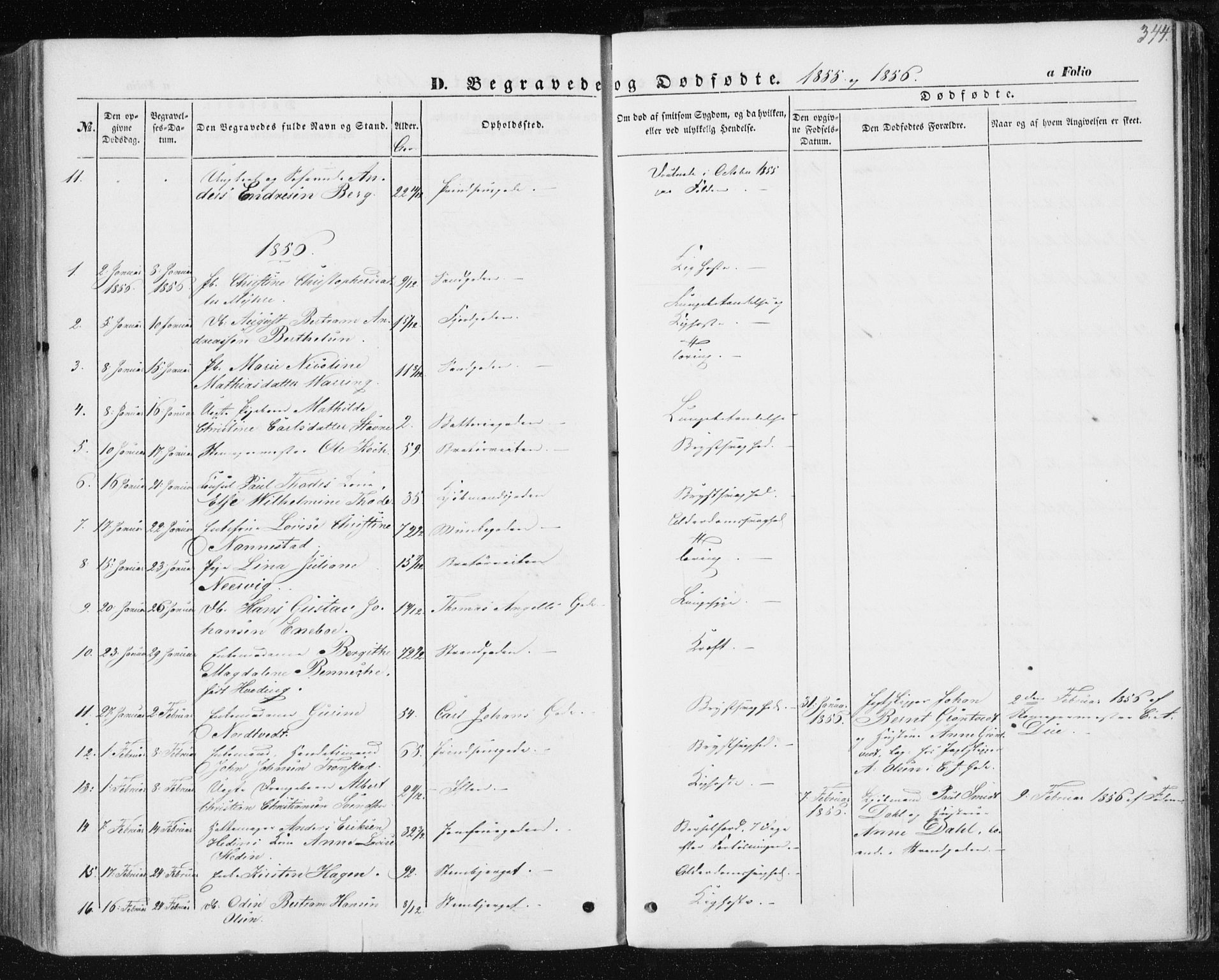 Ministerialprotokoller, klokkerbøker og fødselsregistre - Sør-Trøndelag, SAT/A-1456/602/L0112: Parish register (official) no. 602A10, 1848-1859, p. 344
