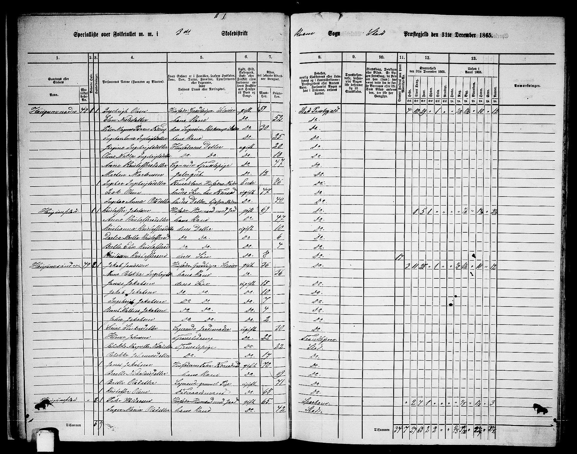 RA, 1865 census for Stod, 1865, p. 39