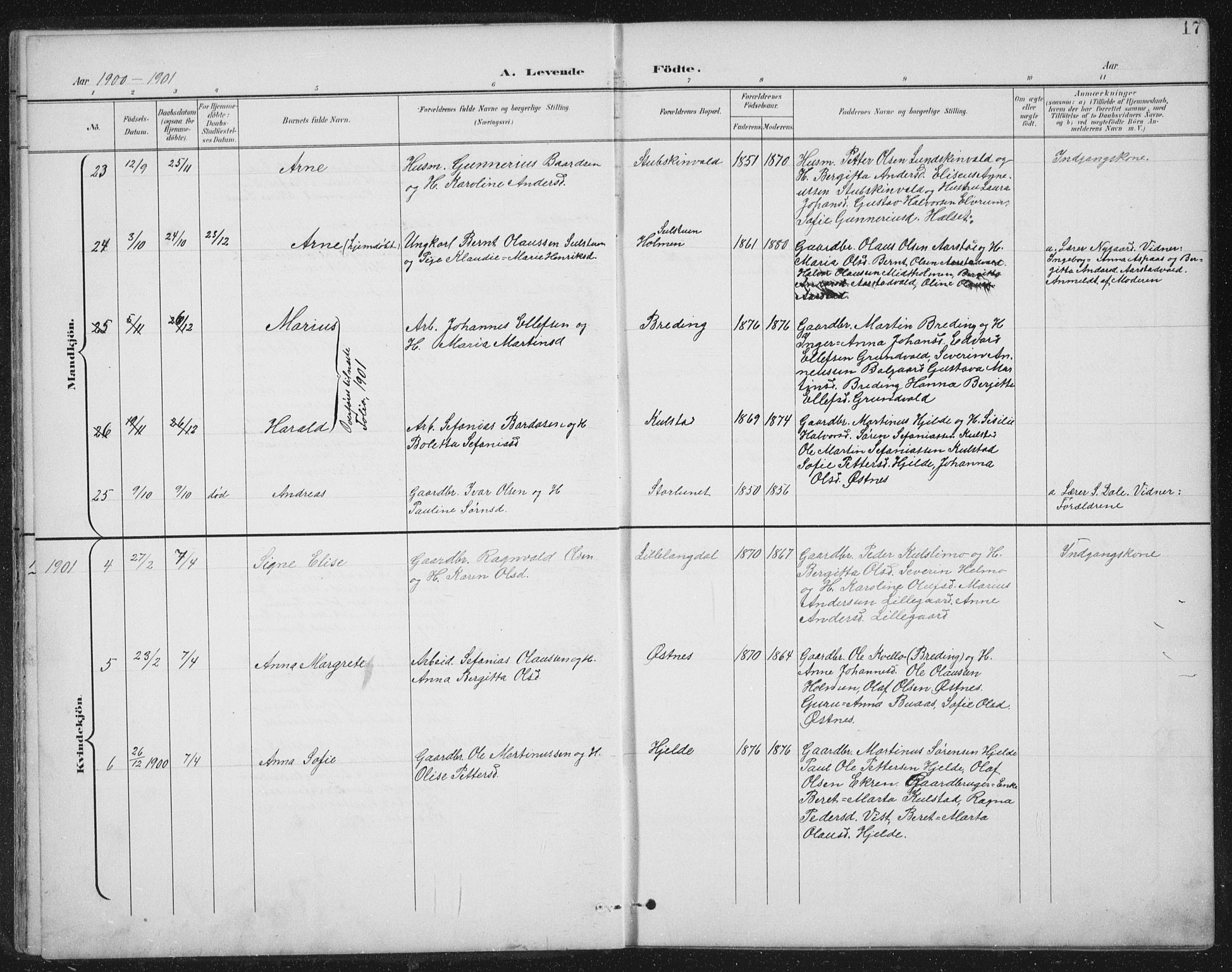 Ministerialprotokoller, klokkerbøker og fødselsregistre - Nord-Trøndelag, SAT/A-1458/724/L0269: Parish register (copy) no. 724C05, 1899-1920, p. 17