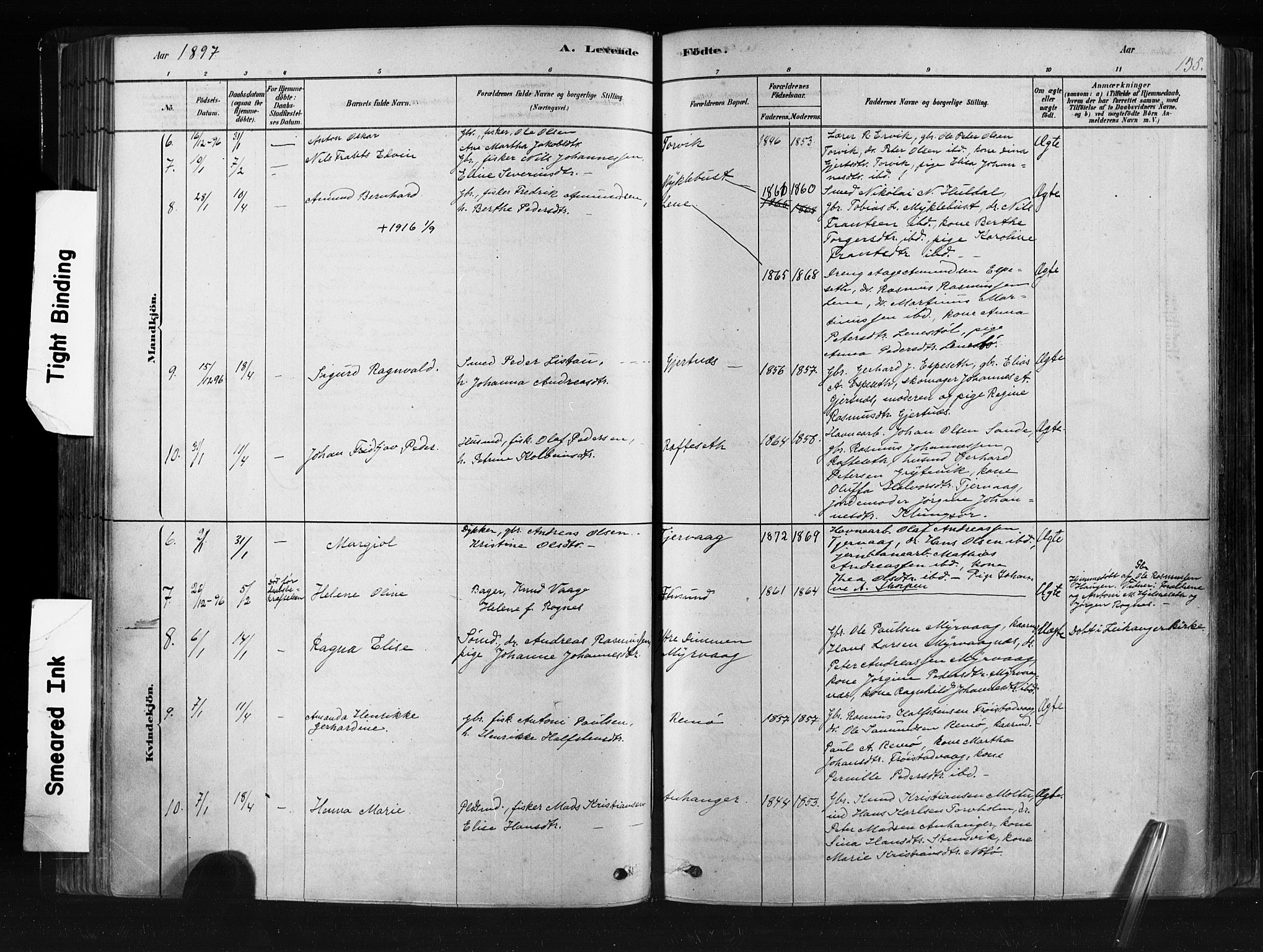 Ministerialprotokoller, klokkerbøker og fødselsregistre - Møre og Romsdal, AV/SAT-A-1454/507/L0073: Parish register (official) no. 507A08, 1878-1904, p. 135