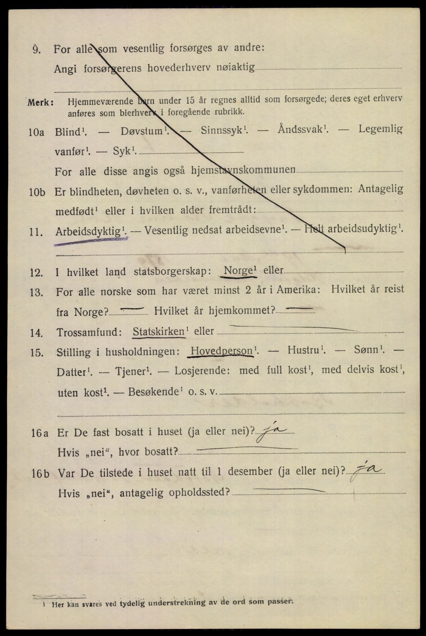 SAKO, 1920 census for Notodden, 1920, p. 6857